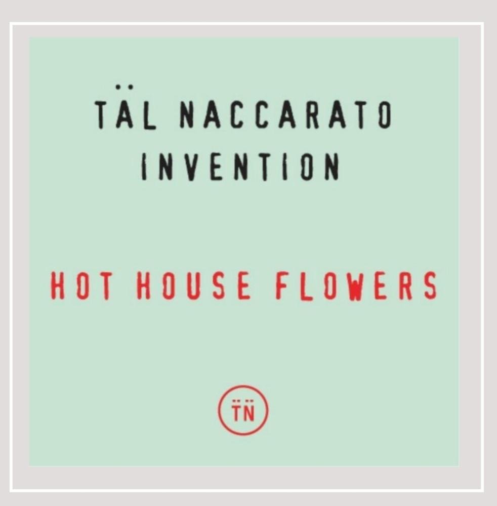 Fresh Hot House Flowers - Premium Indoor & Outdoor Blooms for Home Decor, Weddings, and Gifts | Fast US Shipping