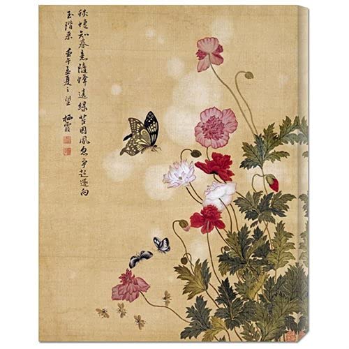 Ma Yuanyu 'Corn Poppy and Butterflies' Stretched Canvas Wall Art - Hand Painted Floral Oil Painting for Living Room, Bedroom & Office Decor
