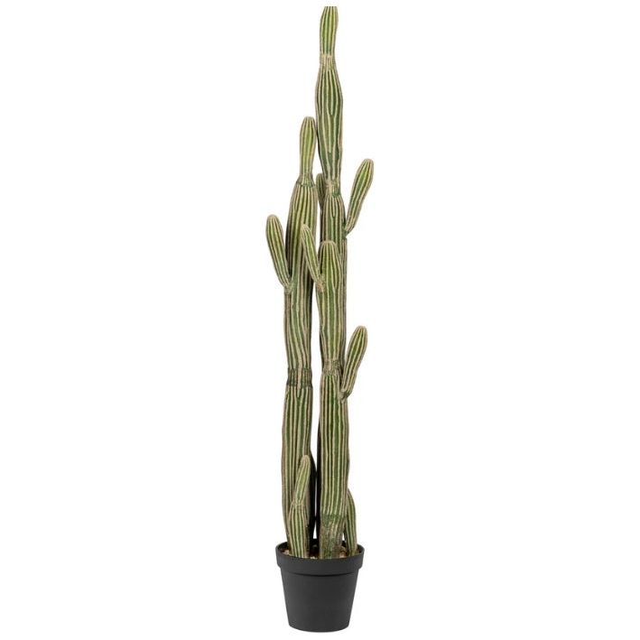 UV Treated Cereus Cactus Plant - 5 Foot Tall Indoor/Outdoor Decorative Succulent for Home, Office & Garden Decor