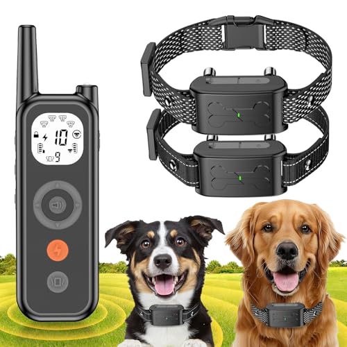 Upgraded Black For 2 Dogs