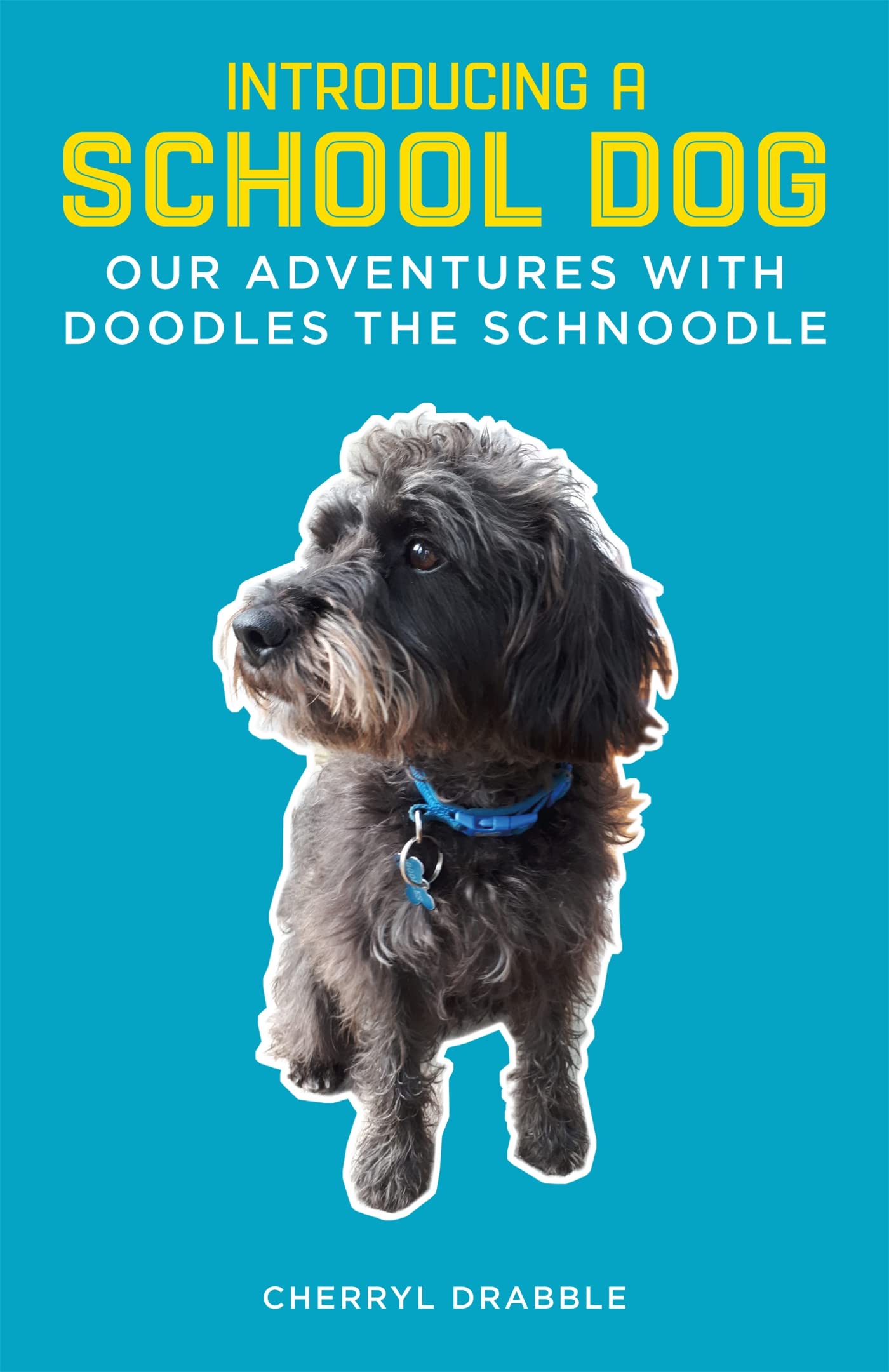 Best School Dog for Kids - Friendly & Well-Trained Classroom Companion for Elementary Schools & Learning Environments