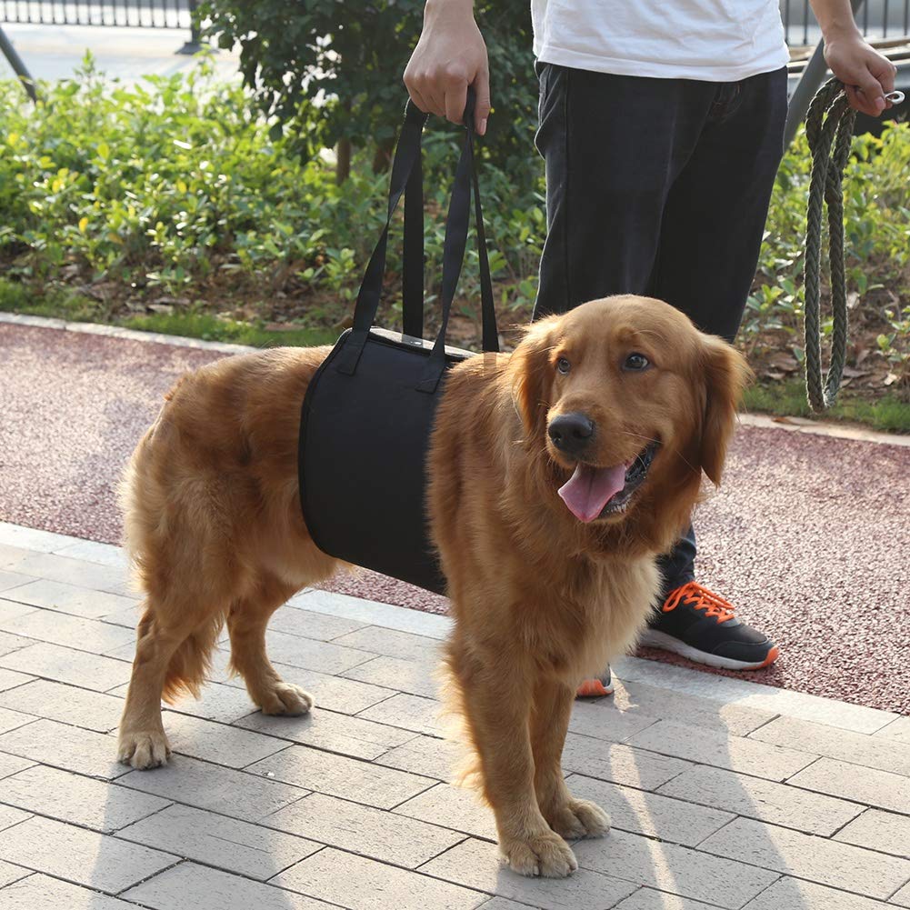 Oumefar Dog Lift Harness - Supportive Pet Vest for Weak Legs, Rehabilitation & Mobility Aid for Old, Injured, or Disabled Dogs - Ideal for Post-Surgery Recovery & Daily Assistance
