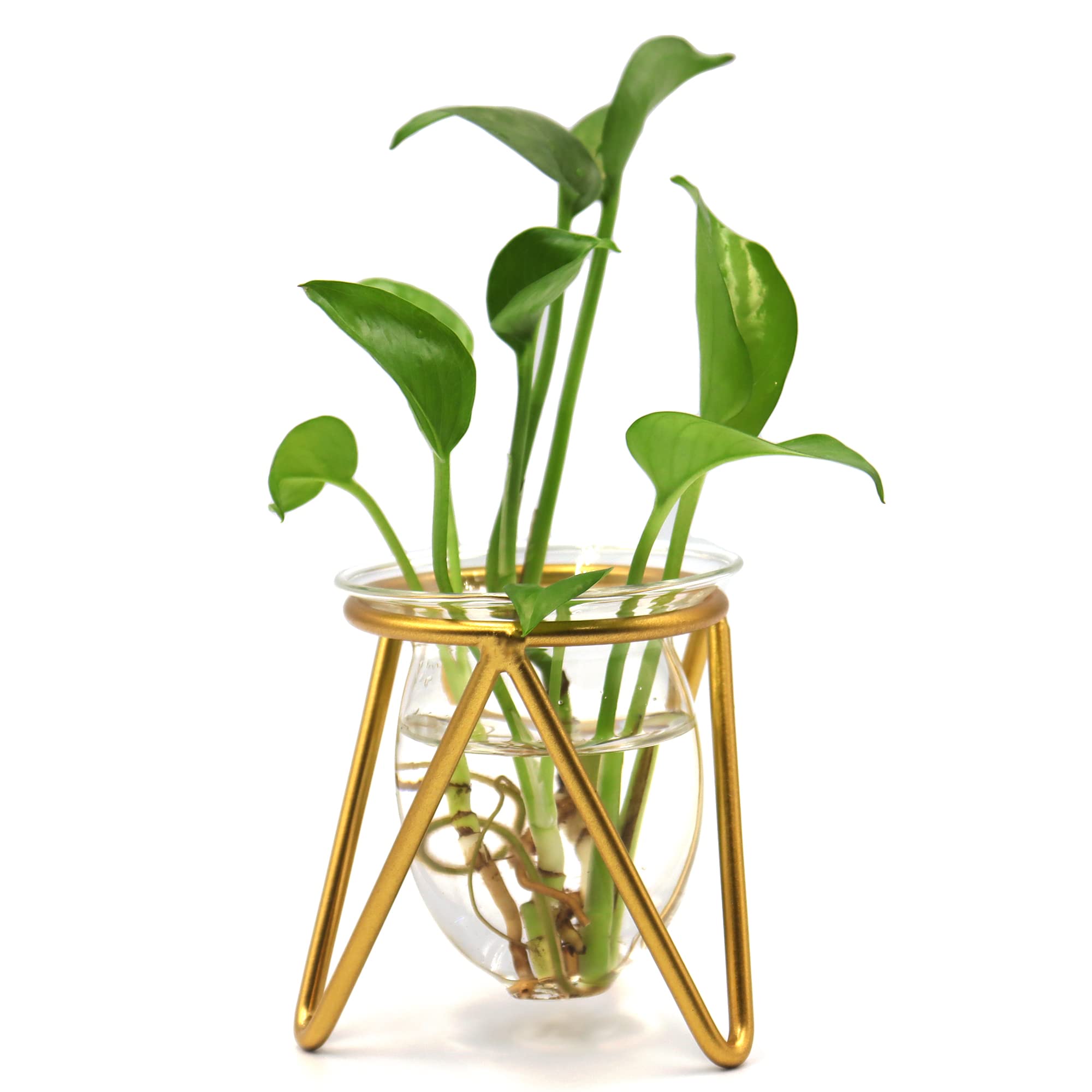 Metal Stand Plant Terrarium - Glass Bulb Vase for Hydroponic Plants | Indoor Home, Office & Garden Decor | Perfect for Succulents, Air Plants & Small Herbs