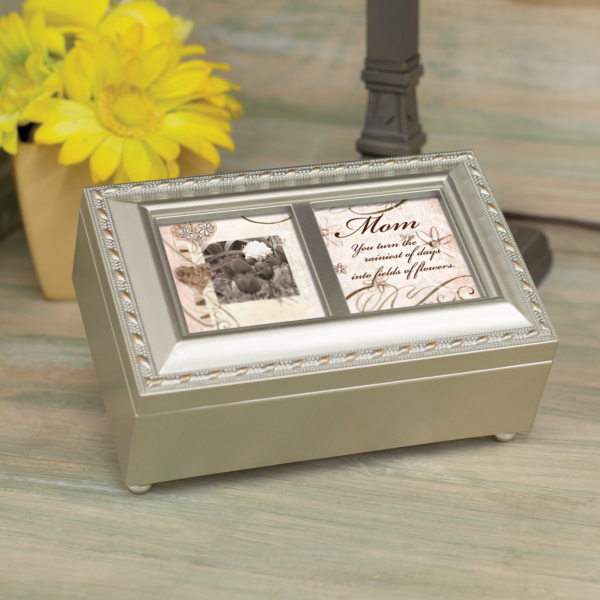 Elegant Mom Champagne Silver Petite Music Jewelry Box - Plays 'Wind Beneath My Wings' Song - Perfect for Gift Giving, Keepsake Storage & Home Decor
