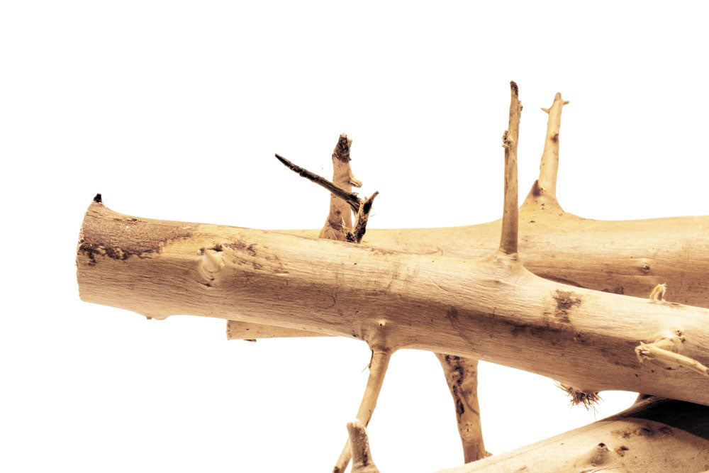 Premium Thorn Wood for DIY Crafts, Home Decor, and Woodworking Projects – Perfect for Rustic Furniture, Wall Art, and Handmade Gifts