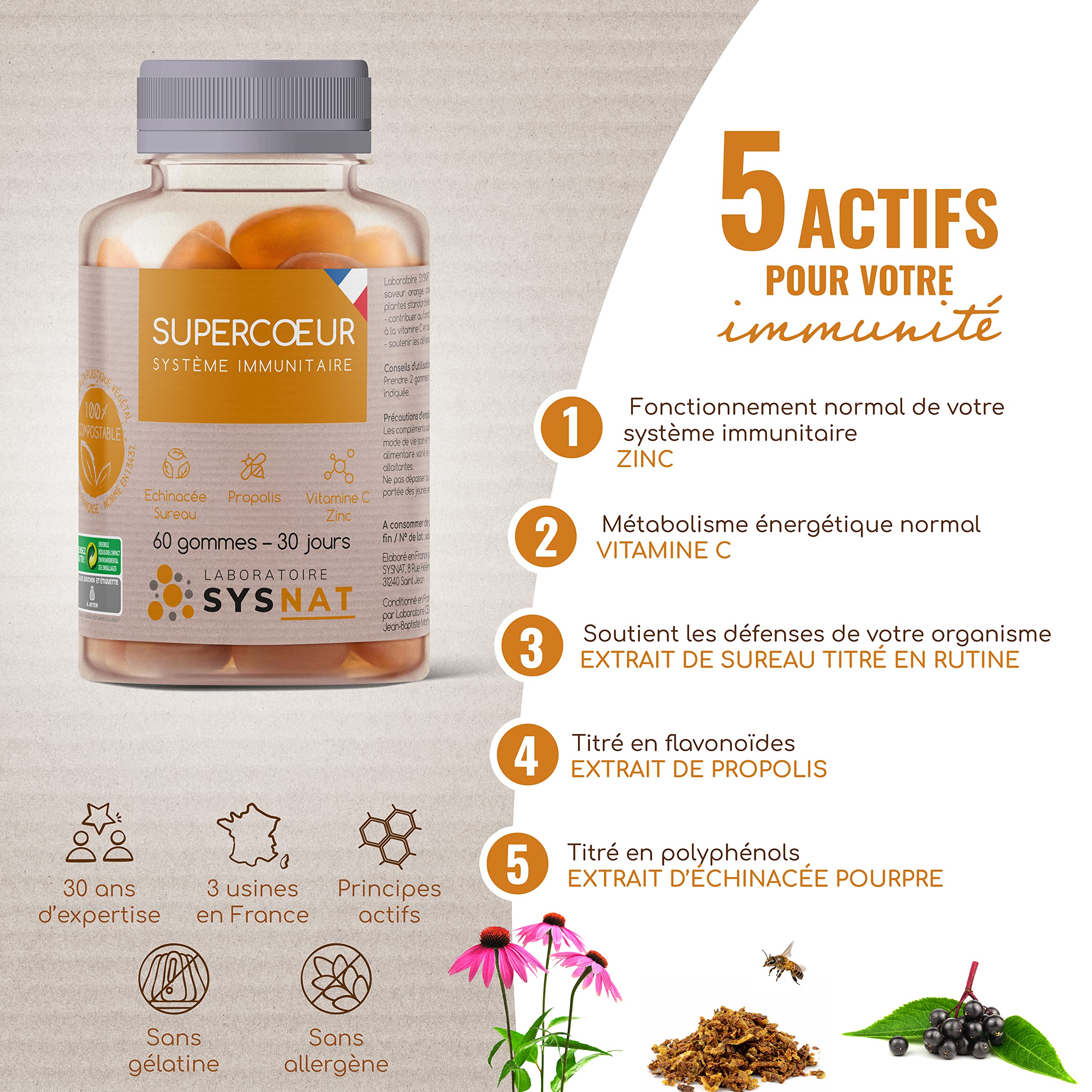 Natural Immune Support & Defense • Zinc Supplement with Propolis, Echinacea, Elderberry & Vitamin C • Multivitamin & Mineral Gummies • 60 Count • Made in France • SYSNAT Laboratory • Boost Wellness for Travel, Work & Daily Life