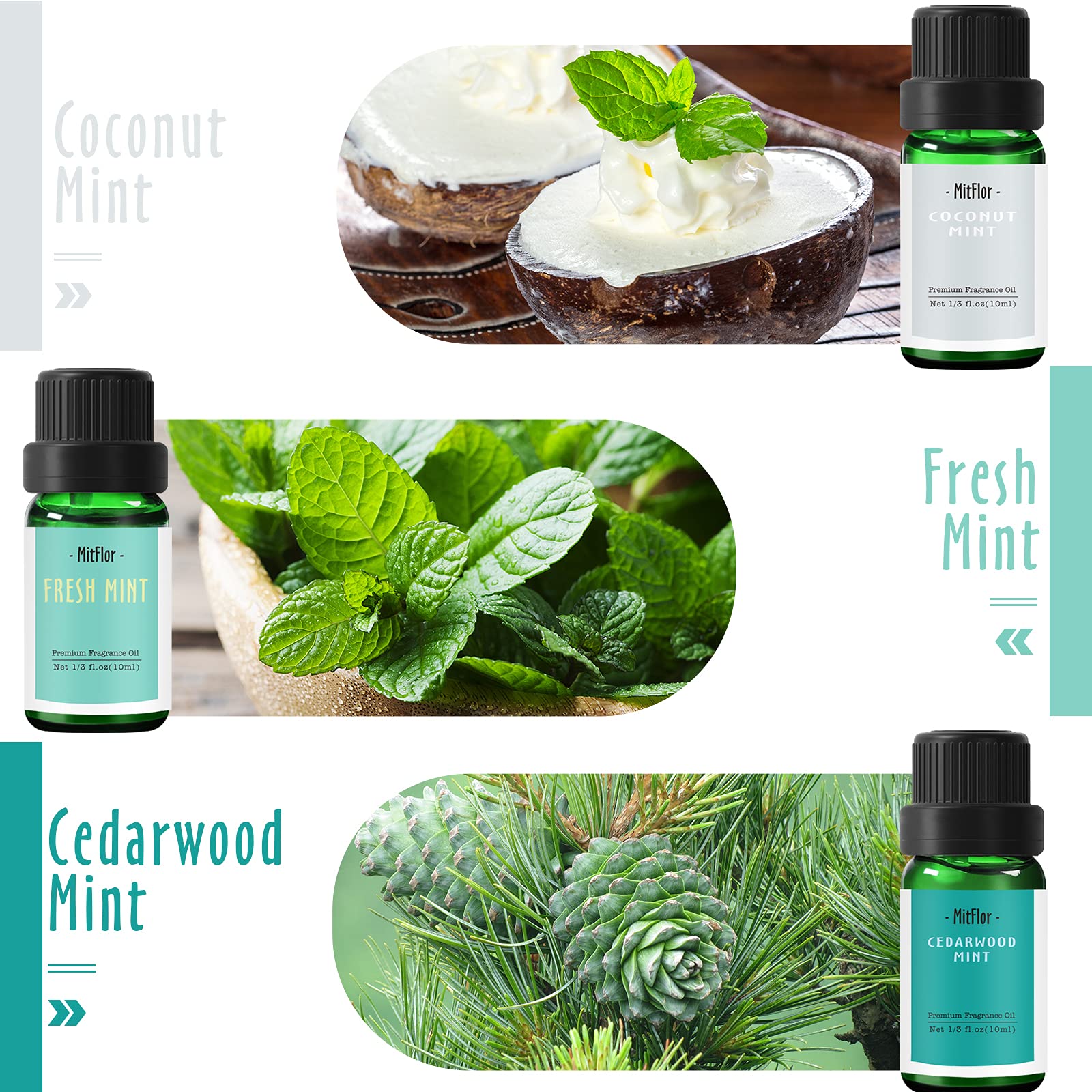 Premium Mint Fragrance Oils Set - 6x10ml Essential Oils for Diffusers, Soap & Candle Making (Cedarwood Mint, Coconut Mint) - Refreshing Home Scent & Aromatherapy Gift Set - Perfect for Spa, Yoga & Relaxation Spaces