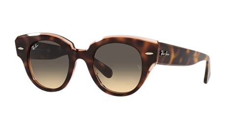 Havana on Transparent Pink/Brown Gradient