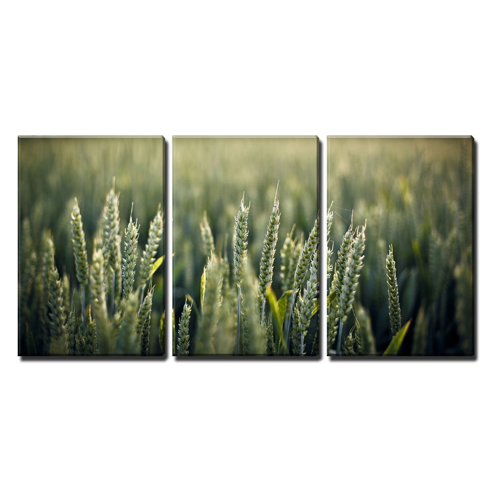 Wall26 - 3 Piece Canvas Wall Art Set - Green Wheat Field Nature Landscape Painting - Stretched & Framed Modern Home Decor - 16
