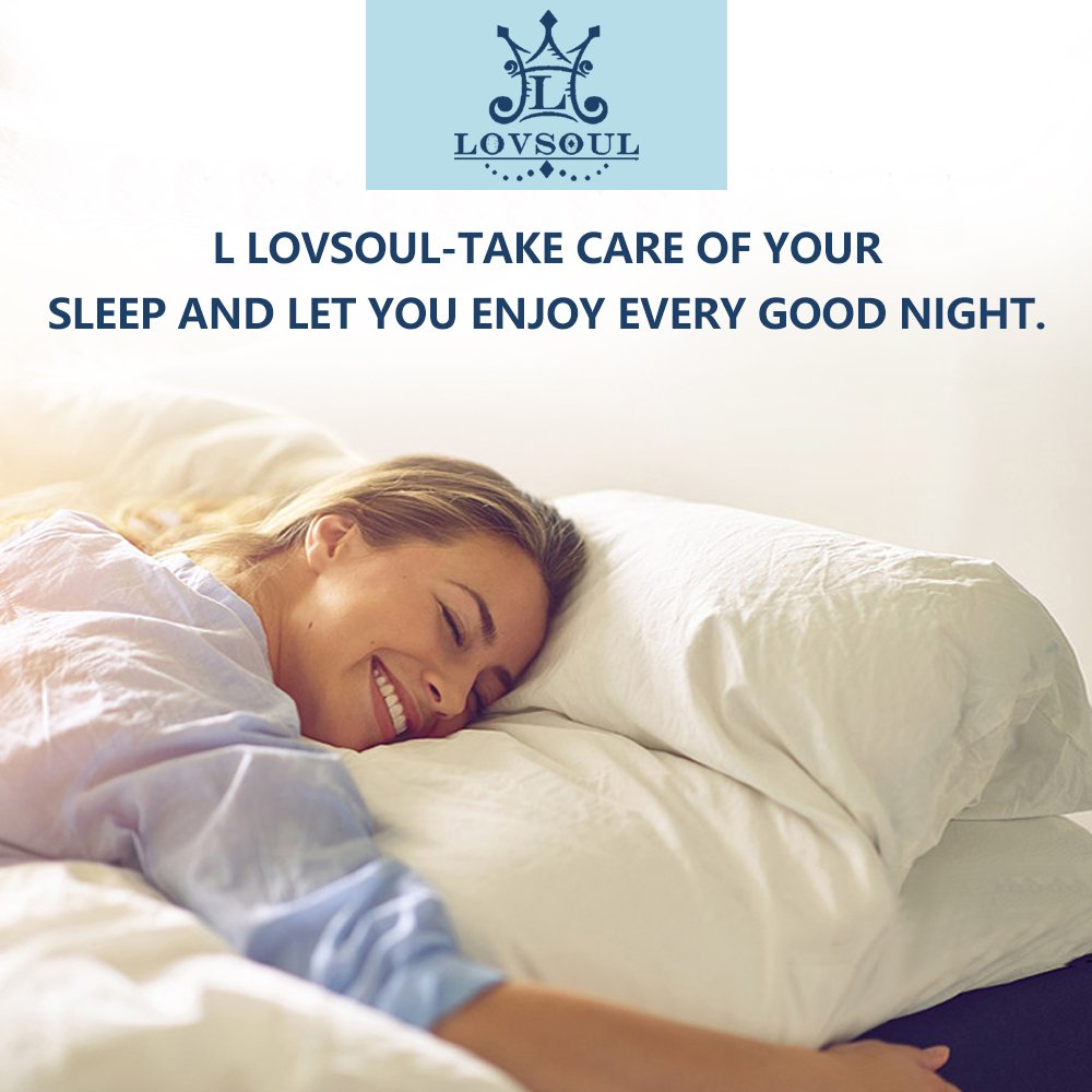 Premium Goose Feather Down Pillows Queen Size - 100% Soft Cotton Cover, Medium Firm Support for Back Sleepers - Hotel Collection Pillow (1 Pack) - Ideal for Home, Travel & Guest Rooms