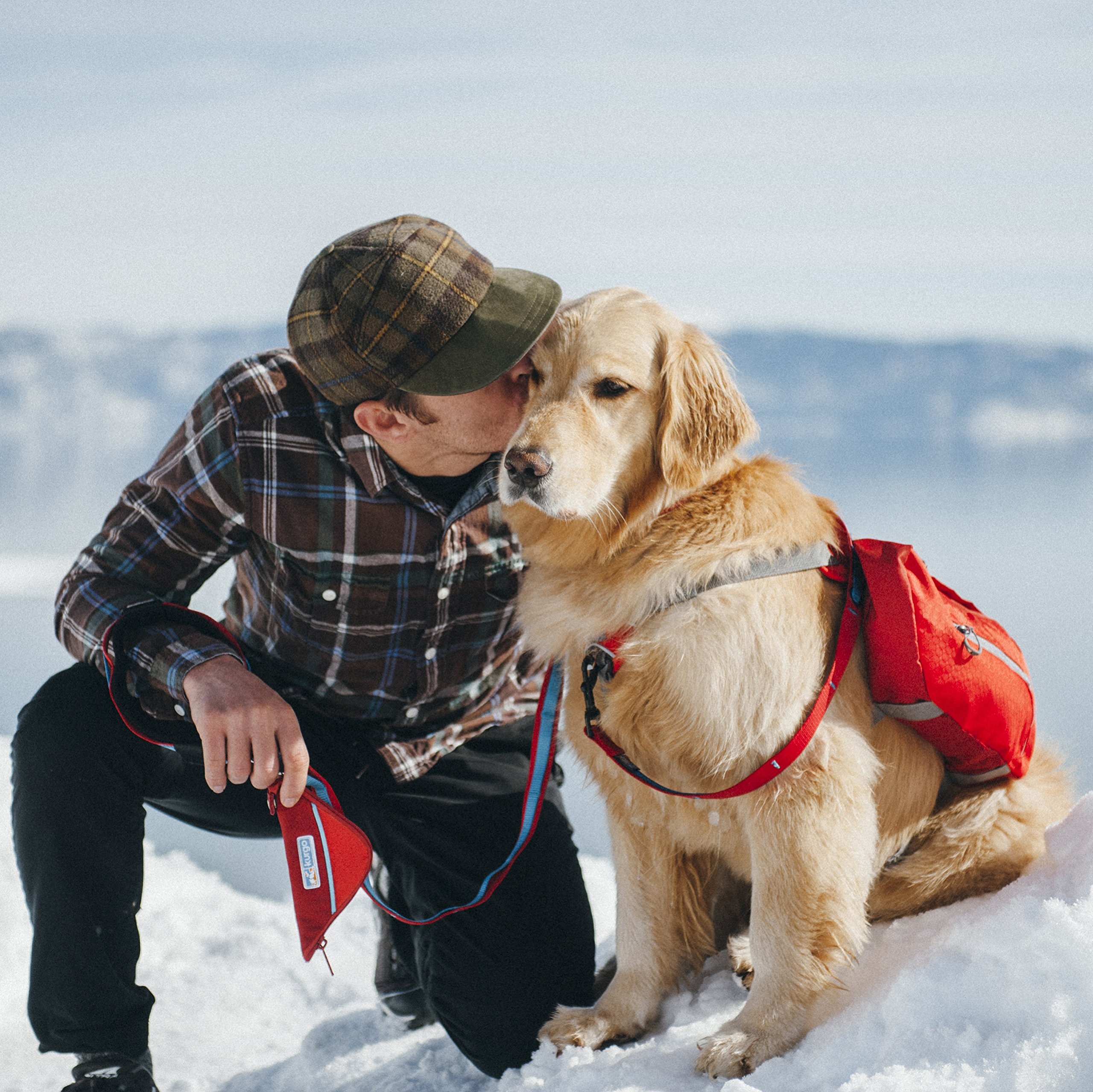 Kurgo Dog Saddlebag Backpack - Adjustable Hiking Pack for Medium & Large Dogs | Lightweight Pet Travel Vest Harness with Reflective Strips | Perfect for Camping, Hiking & Outdoor Adventures