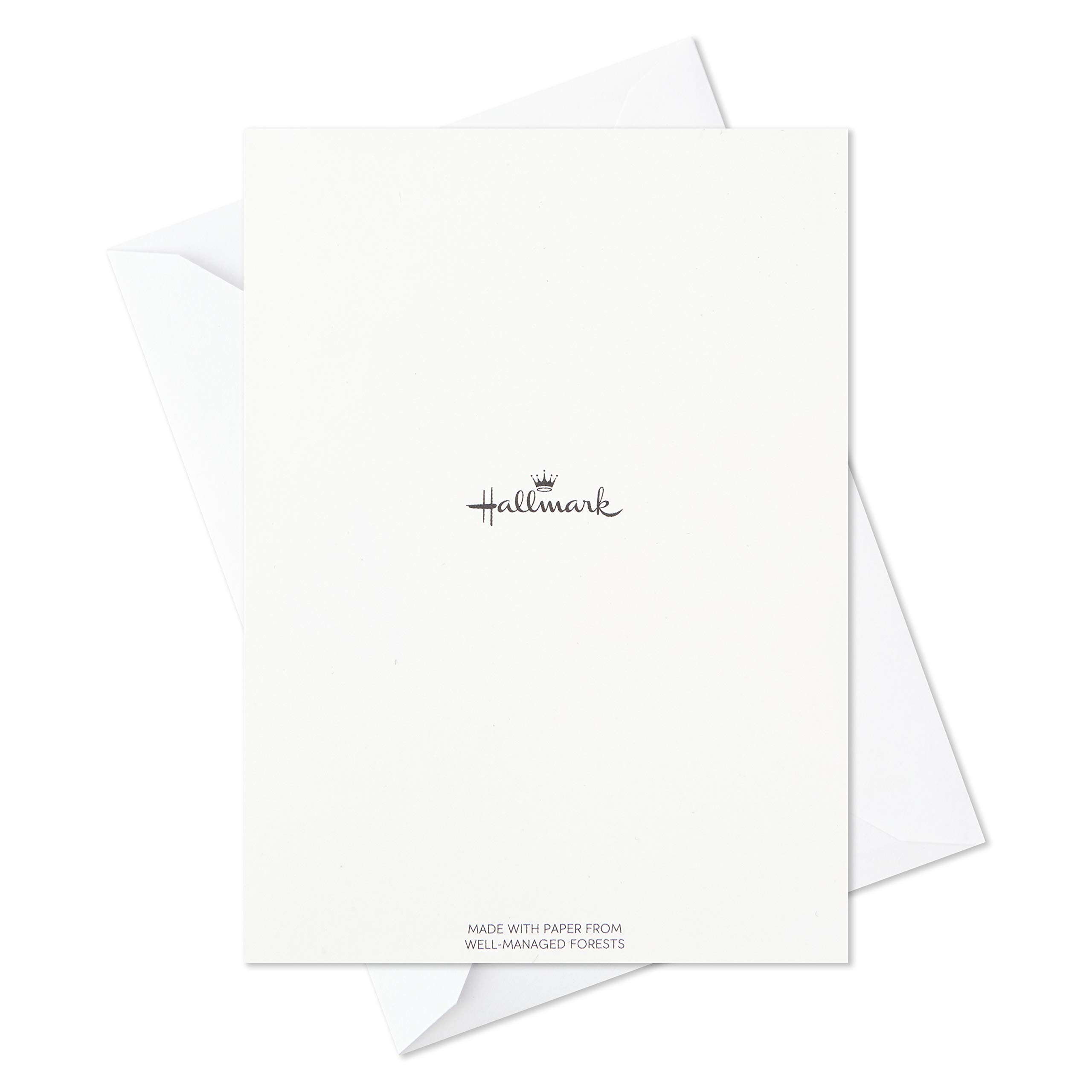 Hallmark Birthday Cards Assortment - 48 Pack with Envelopes, Make a Wish Greeting Cards for Friends & Family - Perfect for Birthdays, Anniversaries & Special Occasions