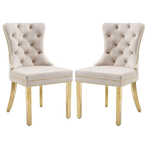 Beige+golden Stainless Steel Leg