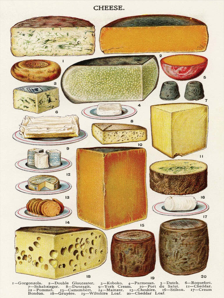 Premium Cheese Selection - Gourmet Cheese for Charcuterie Boards, Wine Pairing & Cooking | Buy Online for Home & Party Use