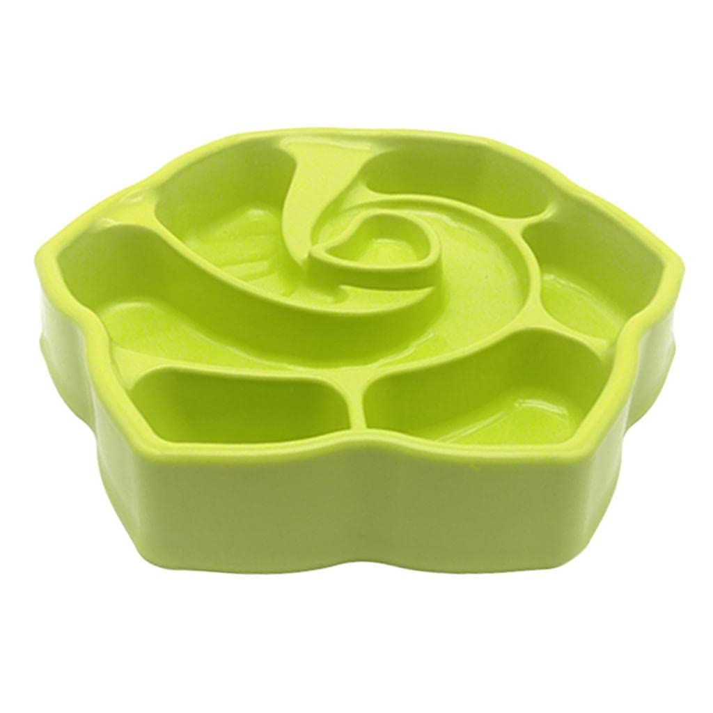 Lyla Slow Feeder Dog Bowl - Anti-Choke Pet Food Dish for Cats & Dogs - Perfect for Mealtime Training & Healthy Eating Habits - Great for Fast Eaters & Digestion Issues