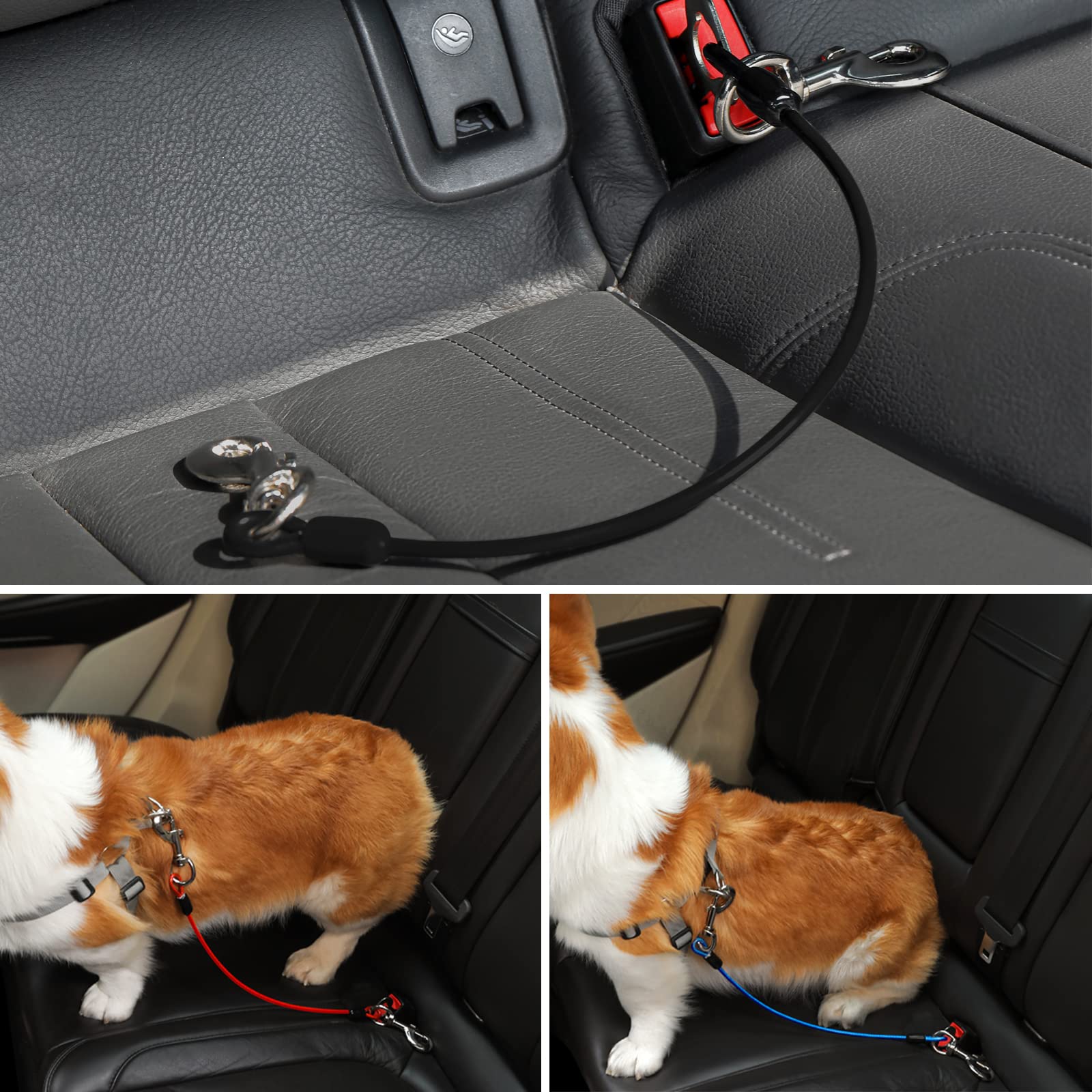 2 Pack Dog Seat Belt Harness for Car - 16 Inch/40CM No Chew Safety Restraint with Double Clips & Latch - Red & Blue Coated Wire Leash for Small to Medium Dogs - Perfect for Road Trips & Safe Car Travel