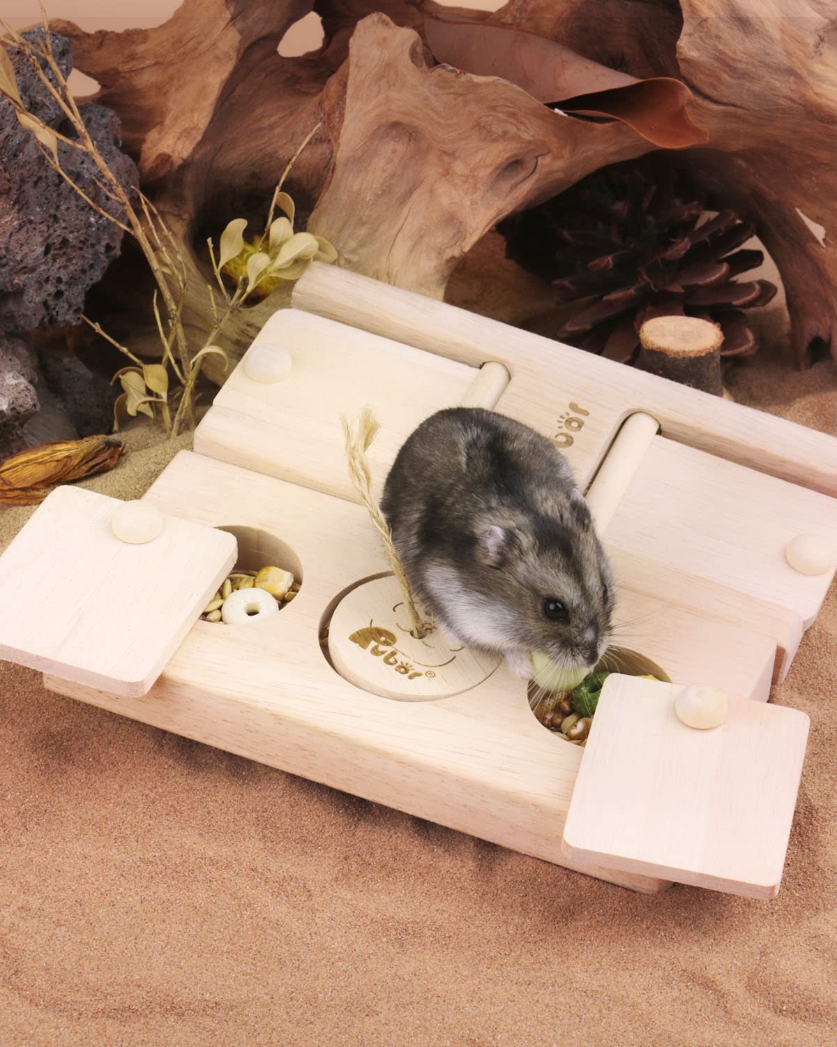 **Wooden Small Animal Foraging Toys - 2Pcs Guinea Pig, Hamster, Rabbit Chew Toys with Hide & Treat Compartments - Interactive Enrichment for Chinchillas, Rats, Gerbils & Dwarf Hamsters - Perfect for Cage Play & Mental Stimulation**