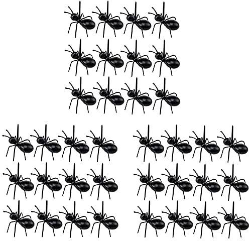 36Pcs Ant-Shaped Fruit Forks - Mini Dessert Toothpicks for Party, Snacks, Cakes & Fruit Platters - Fun Kitchen Tableware for Kids & Adults