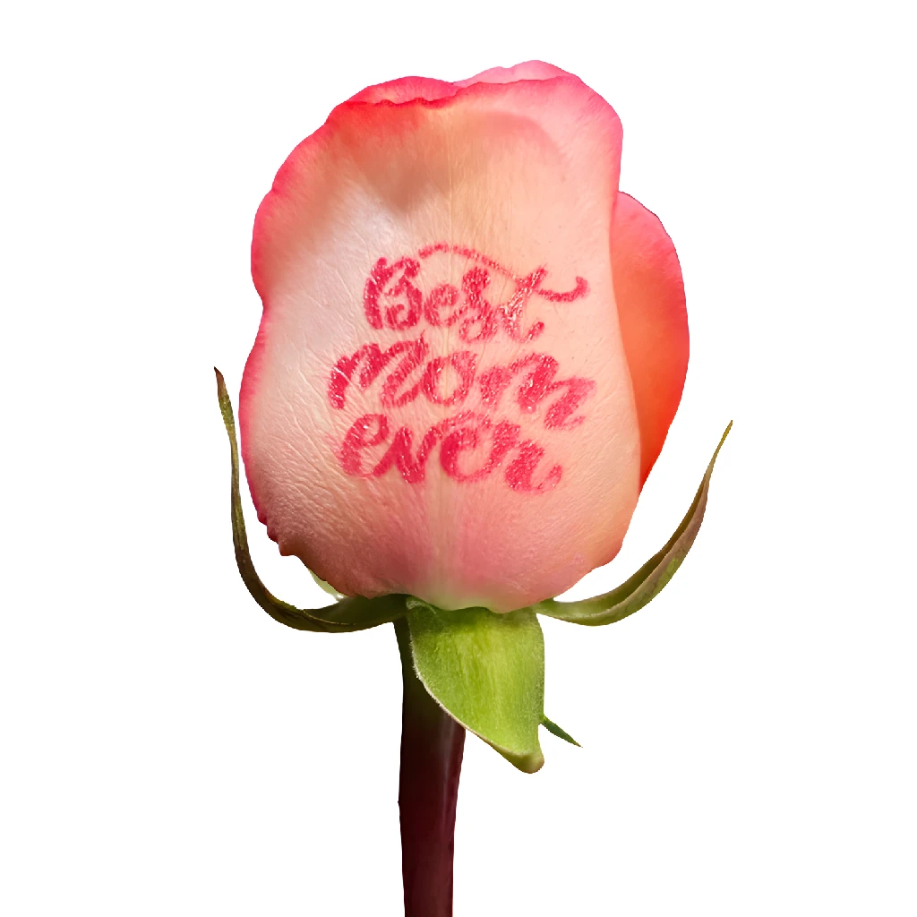 Best Mom Ever Personalized Roses - Custom Engraved Rose Gift for Mother's Day, Birthday, Anniversary - Perfect for Special Occasions & Keepsake Memories
