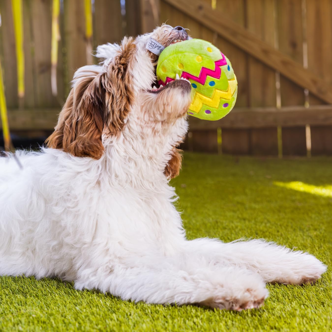 Midlee Easter Egg Dog Toy - Small Green Chew Toy for Puppies & Small Dogs - Durable & Safe for Indoor & Outdoor Playtime