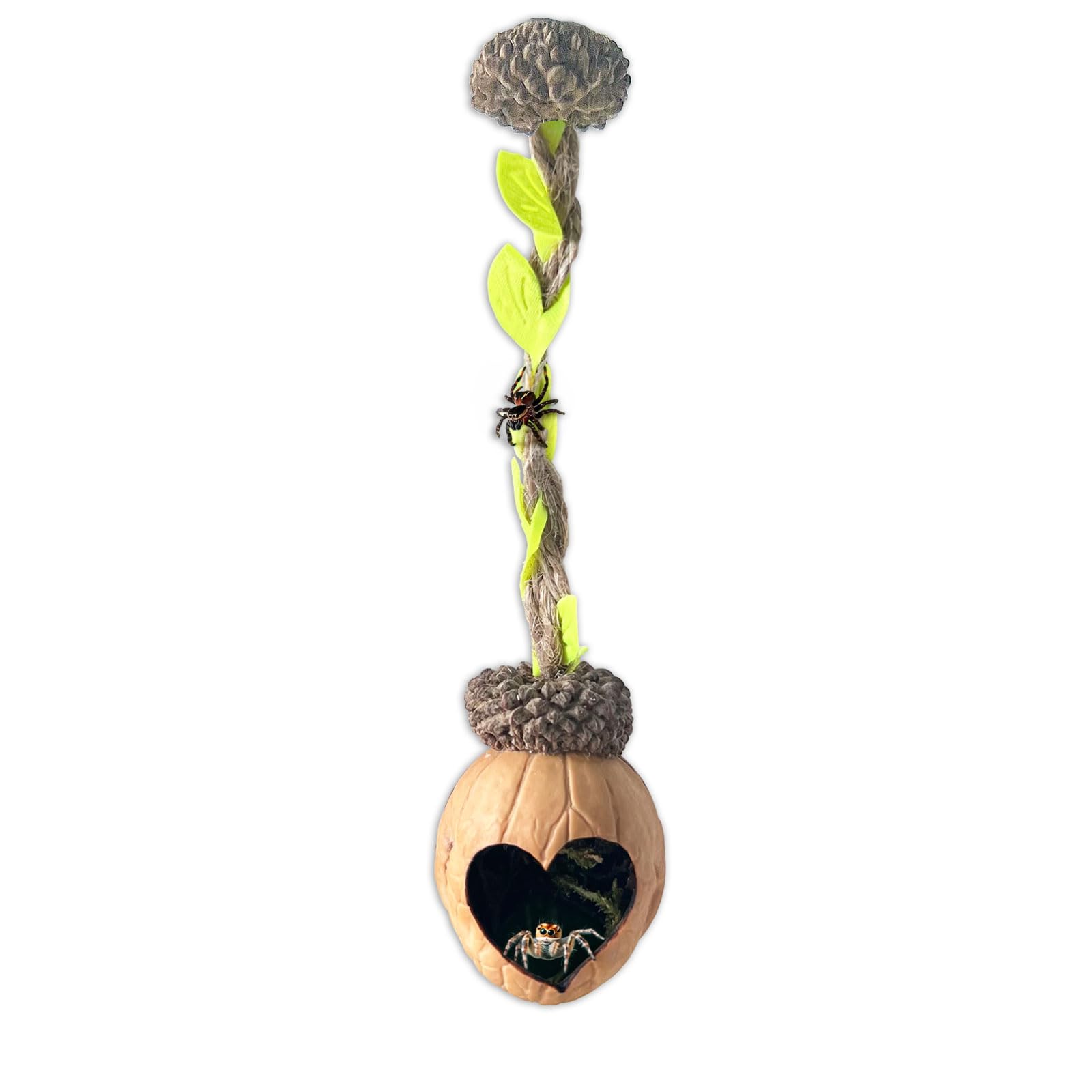 Natural Walnut Bark Jumping Spider Hideout - Magnetic Habitat & Handmade Enclosure Accessory with Heart-Shaped Opening | Perfect for Pet Spiders, Terrarium Decor, and Science Classroom Observation