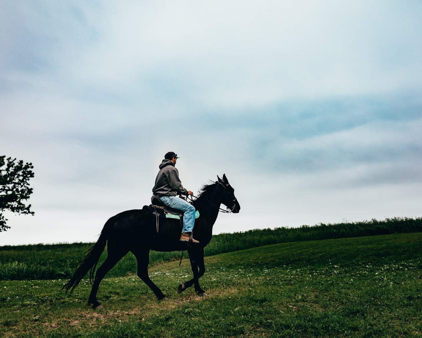 Impact Gel Contour Saddle Pad with Teal Floral Leather - Shock Absorbing Horse Riding Pad for Equestrian Comfort - Perfect for Trail Riding, Dressage & Show Jumping