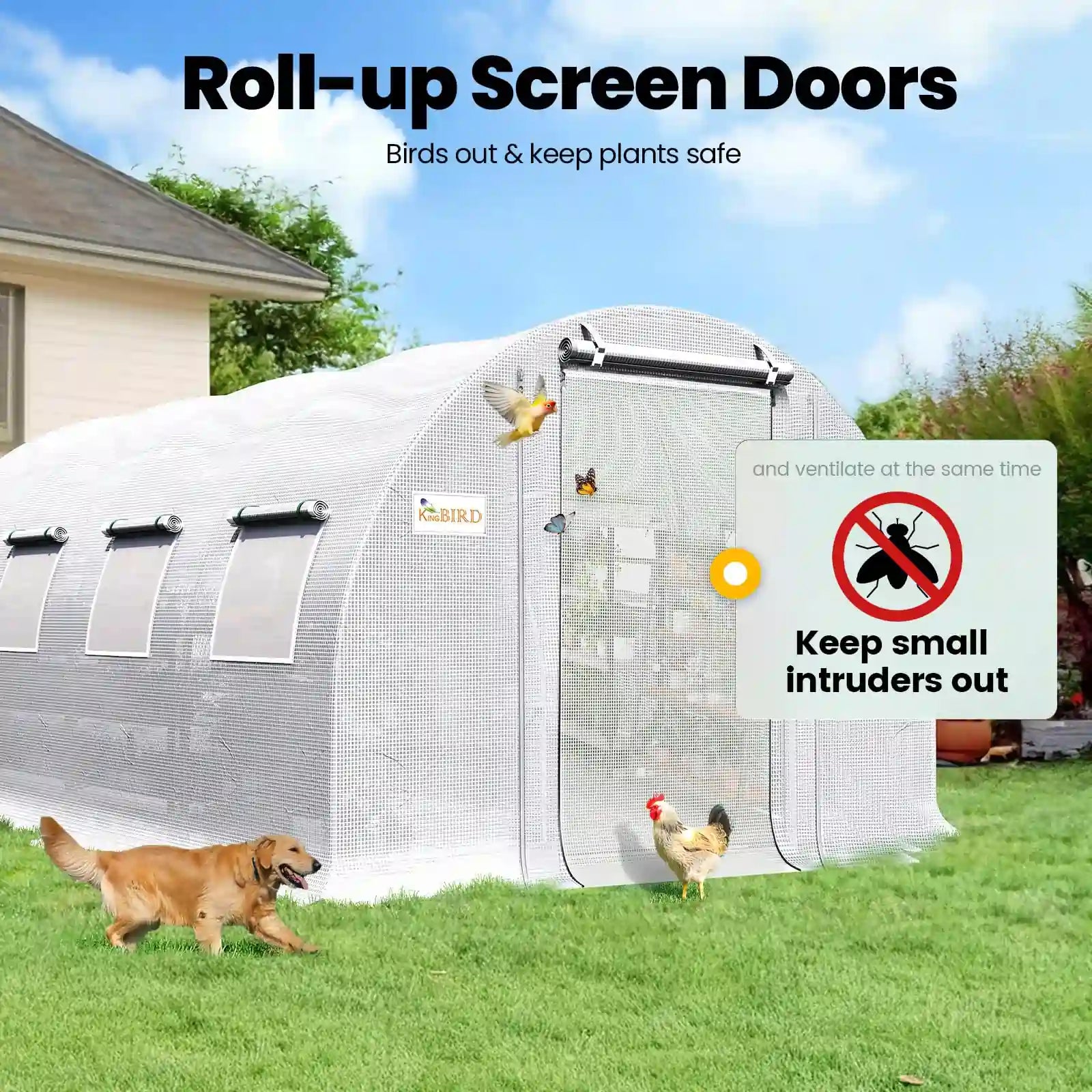 Premium Heavy Duty Large Walk-in Greenhouse for Plants & Gardening - Perfect for Backyard, Patio & Indoor Use