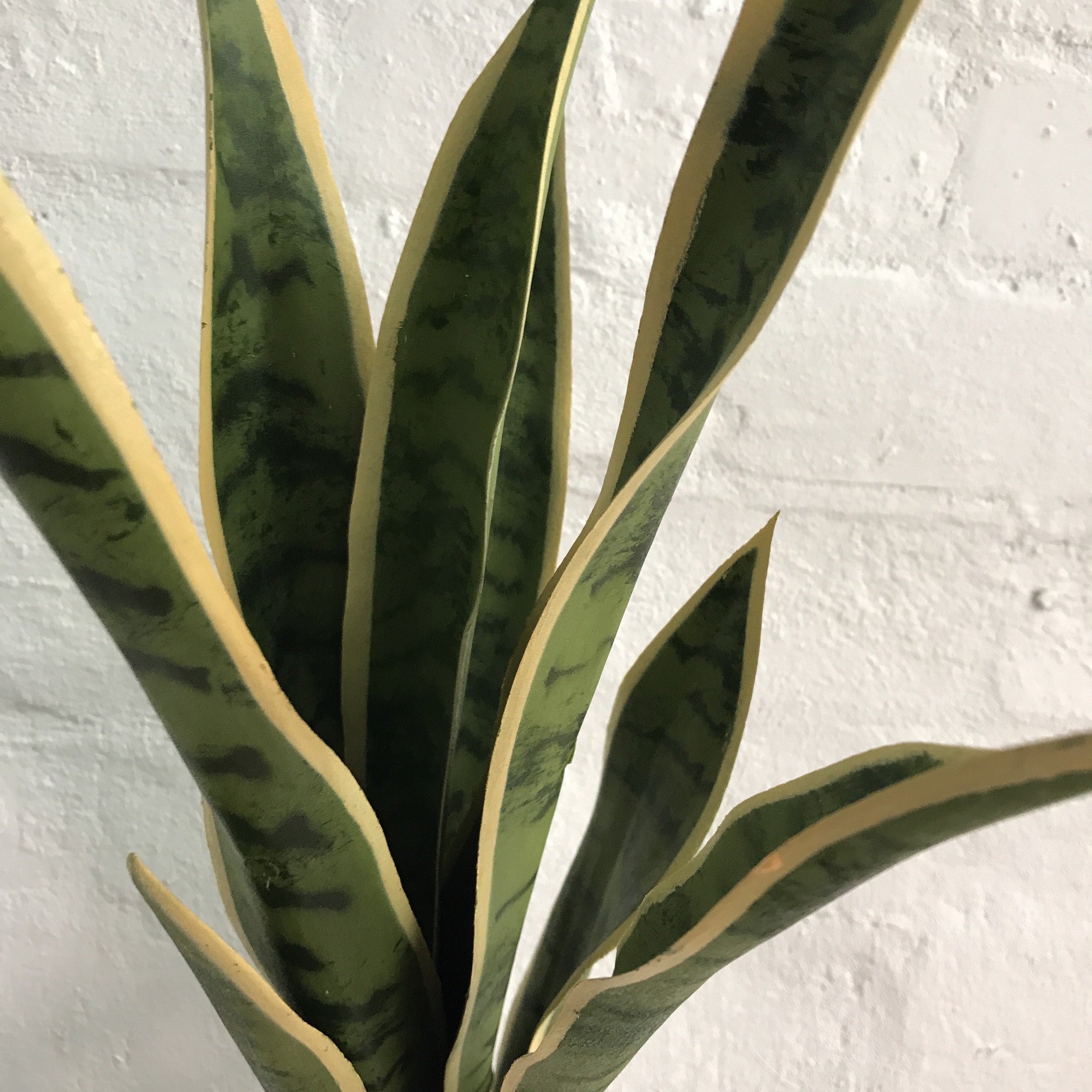 Premium Artificial Sansevieria Snake Plant - Low Light Indoor Decor for Home, Office & Living Room - Realistic Fake Potted Plant for Modern Spaces