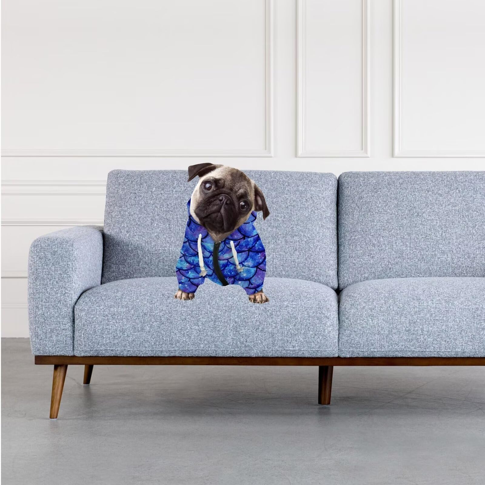 Howilath Blue Mermaid Scale Dog Hoodie - Warm Pet Jacket for Small Medium Dogs & Cats | Puppy Kitten Winter Apparel | Perfect for Outdoor Walks & Photo Shoots