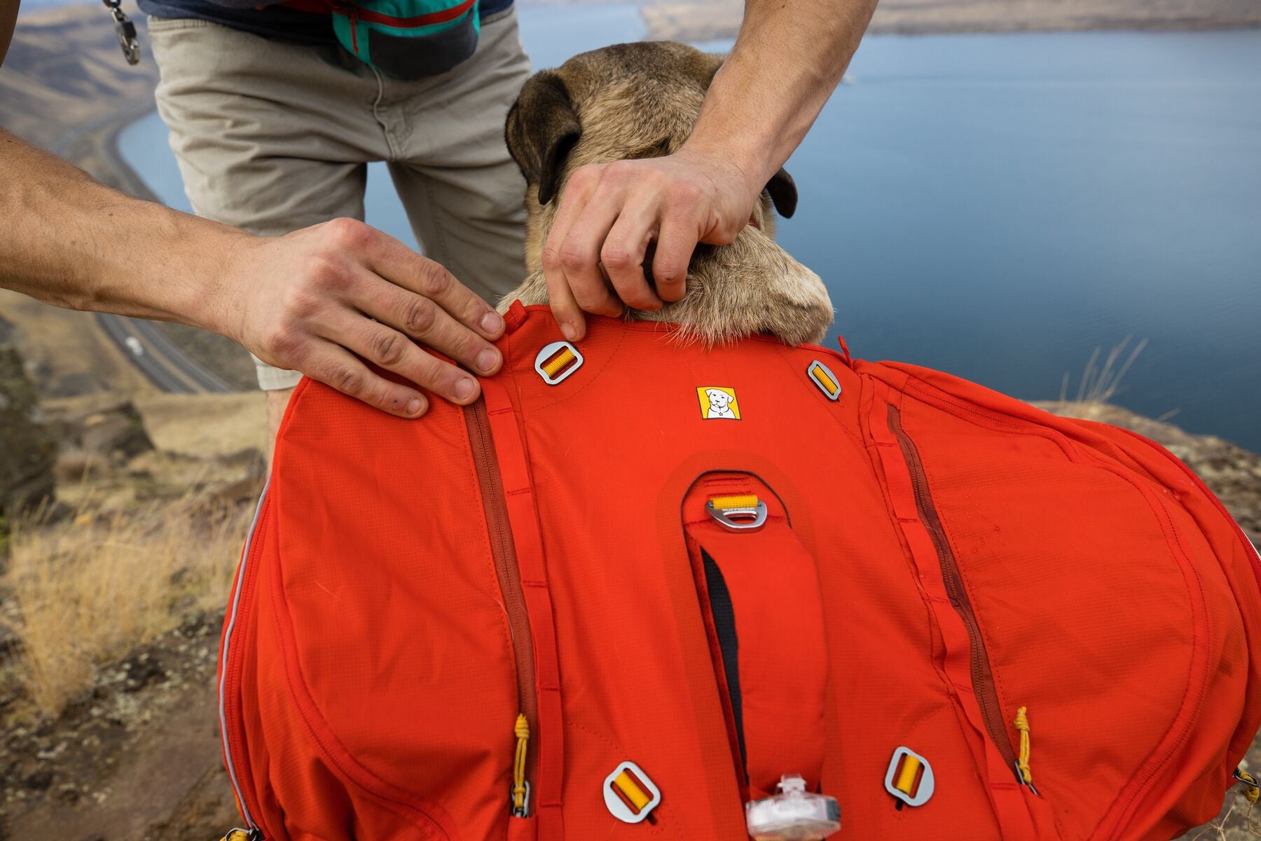Ruffwear Palisades 2-in-1 Dog Hydration Pack & Harness - Lightweight Backpack for Hiking, Running & Outdoor Adventures with Water Bladder Storage
