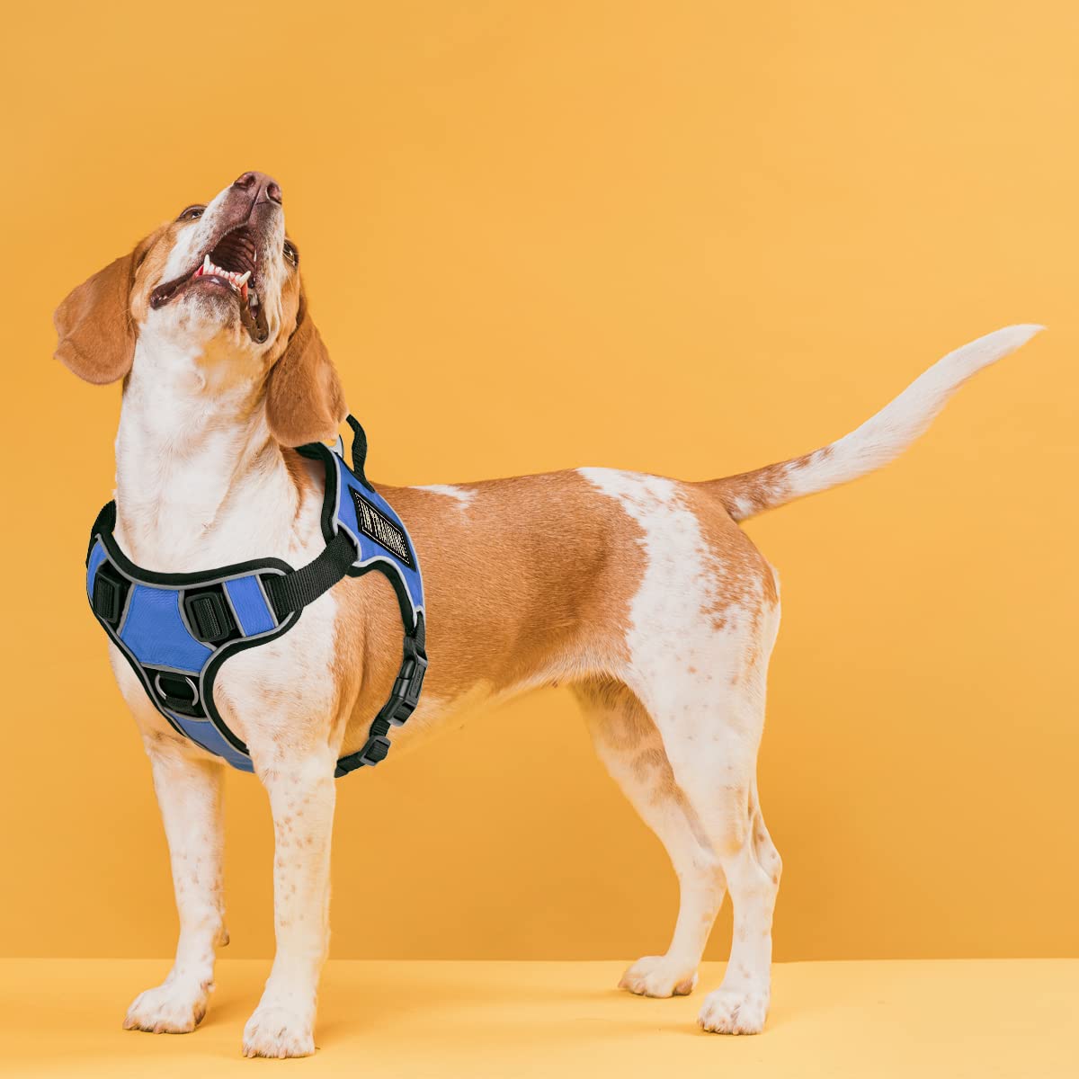 No-Pull Dog Harness with Reflective Patches & Quick Release Buckles - Soft Comfortable Training Vest with 3D Rubber & Handle (18-22 inches, Blue) - Perfect for Walking, Running & Outdoor Adventures with Your Dog