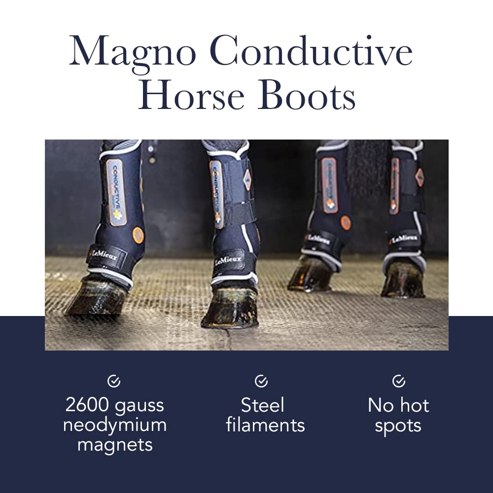 LeMieux Magno Magnetic Therapy Horse Boots - Conductive Equine Boots for Protection & Training - Horse Wraps & Accessories for Joint Support & Recovery - Ideal for Dressage, Jumping & Stable Use