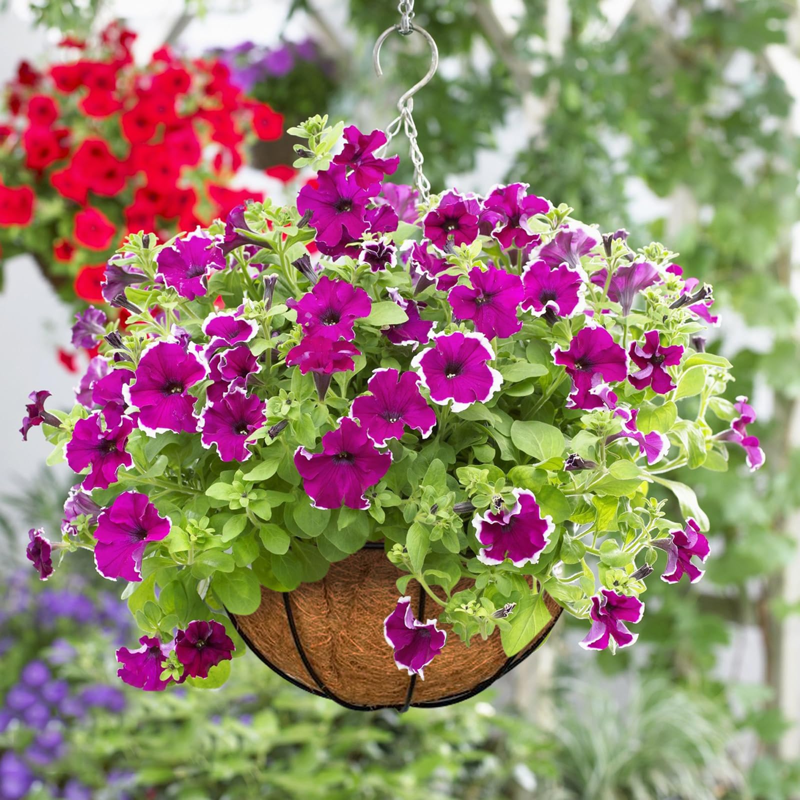3PCS 12 Inch Natural Coconut Coir Hanging Basket Liners - 100% Organic Coco Fiber Plant Pot Liners for Flowers, Vegetables & Indoor/Outdoor Plants | Perfect for Balcony Gardens, Vertical Planters & DIY Home Decor