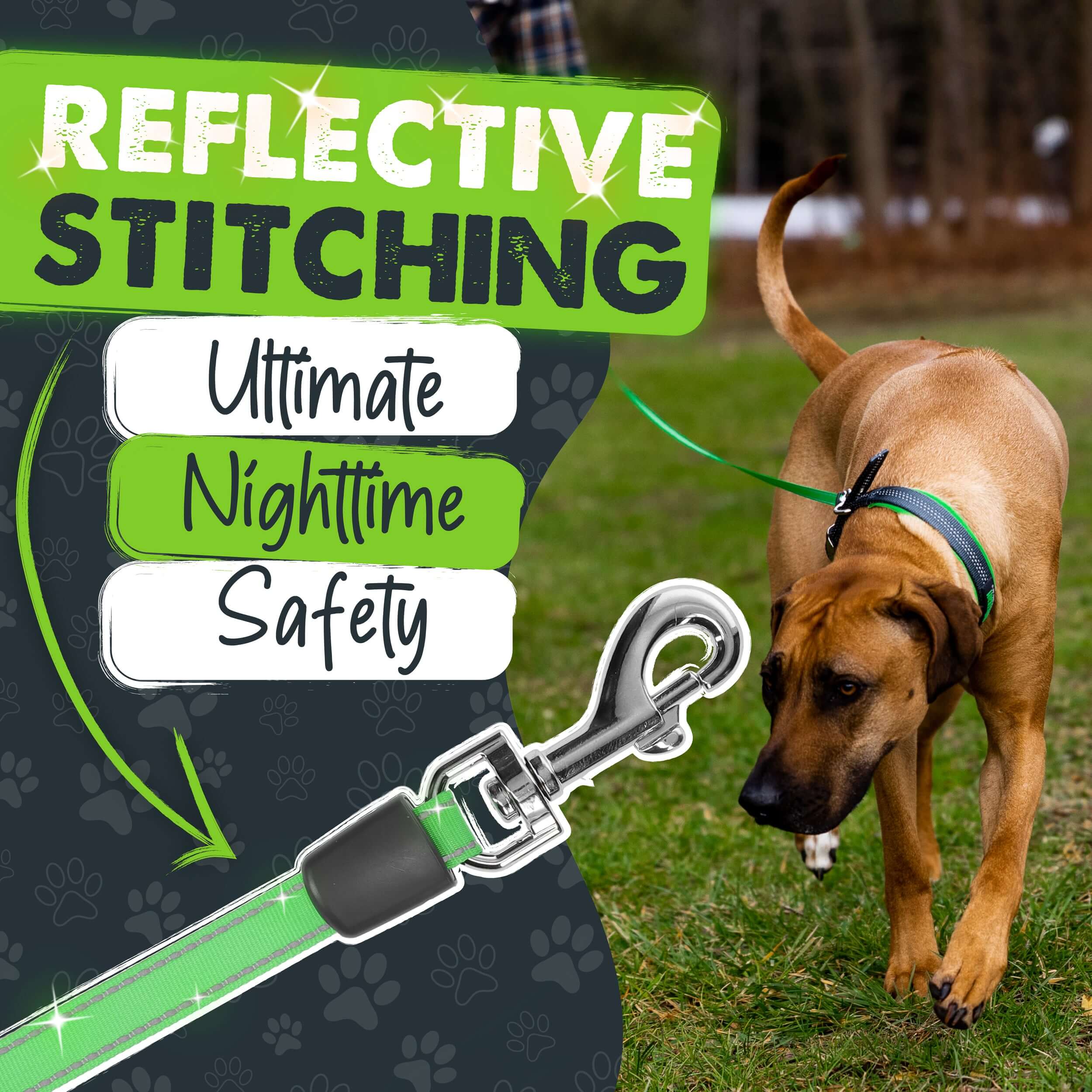 **Best Retractable Dog Leash 3.0 with Built-in Poop Bag Holder – Durable, Hands-Free Walking for Small & Large Dogs – Perfect for Park, Hiking & Daily Walks**