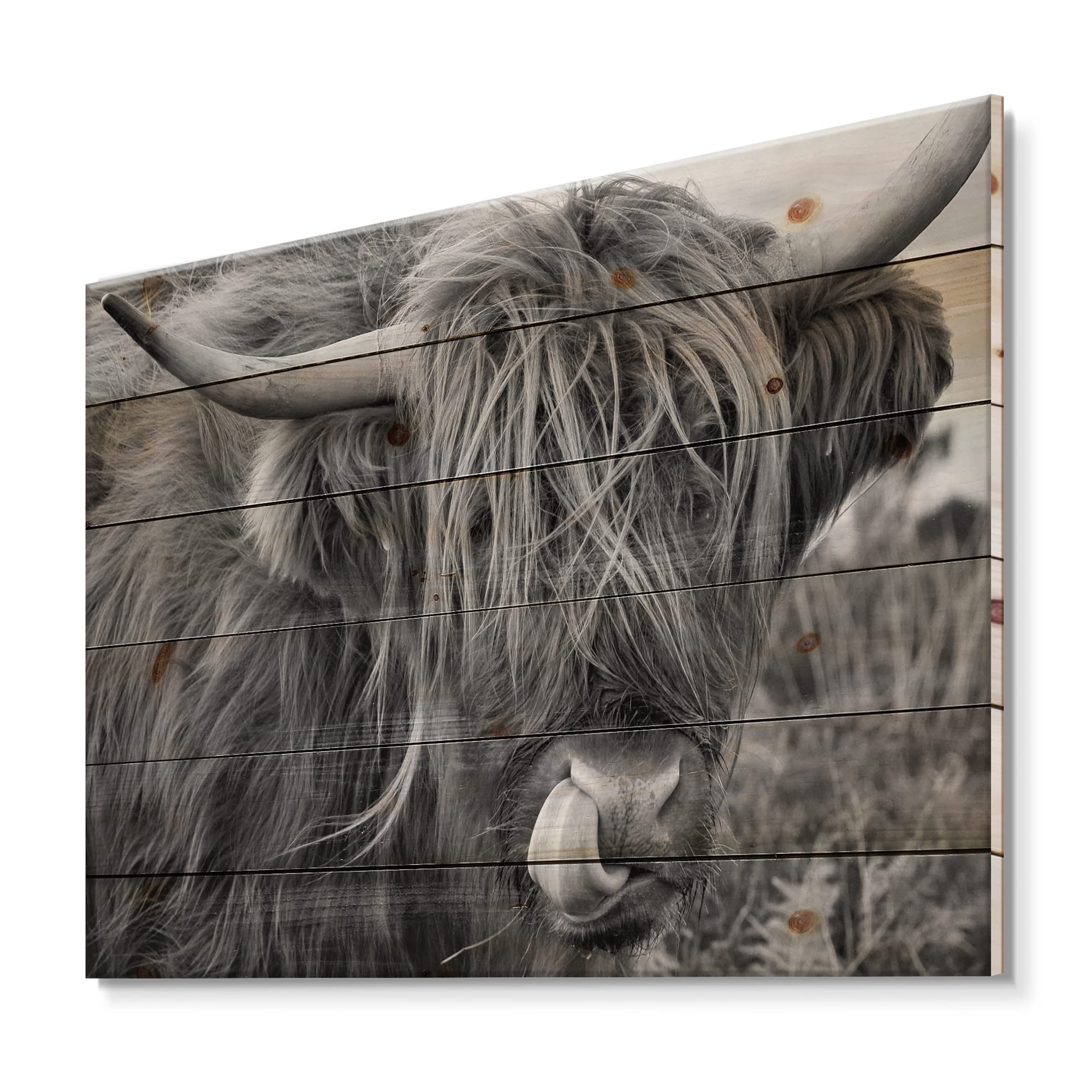 Scottish Cow on Moorland II Farmhouse Wood Wall Decor - Grey Wood Wall Art with Large Animals - Printed on Natural Pine Wood - Perfect for Living Room, Bedroom, or Country Style Home Decor