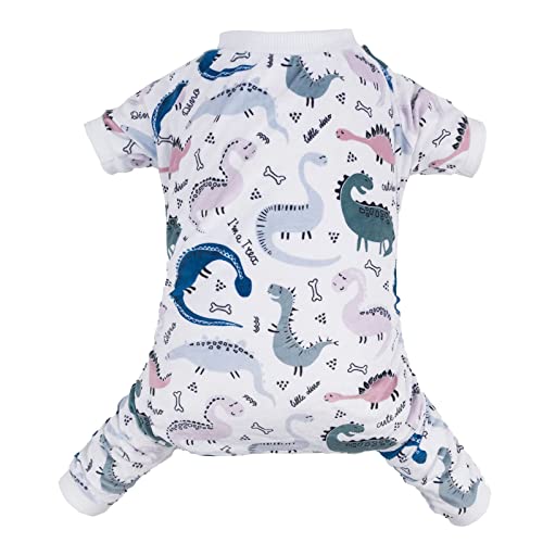 Little Dinos