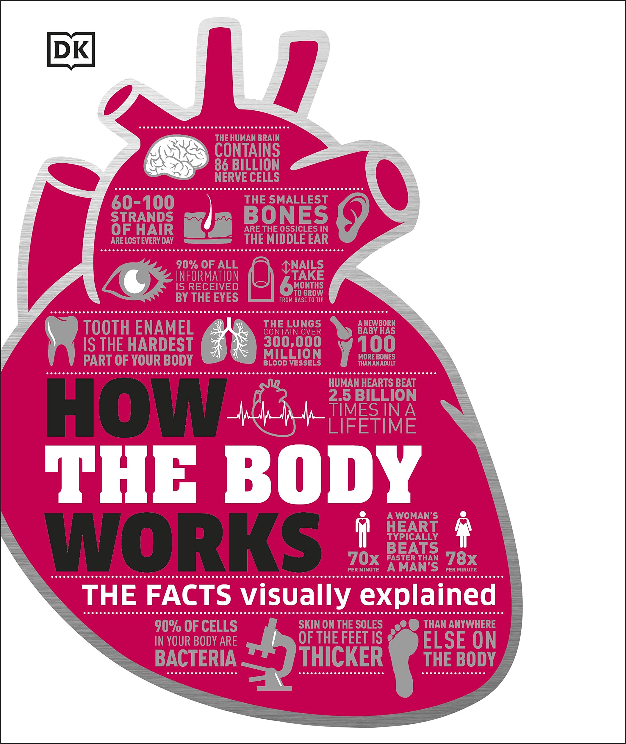 How the Body Works: The Facts Simply Explained - Human Anatomy Guide | DK How Stuff Works | Perfect for Students, Teachers & Medical Learners