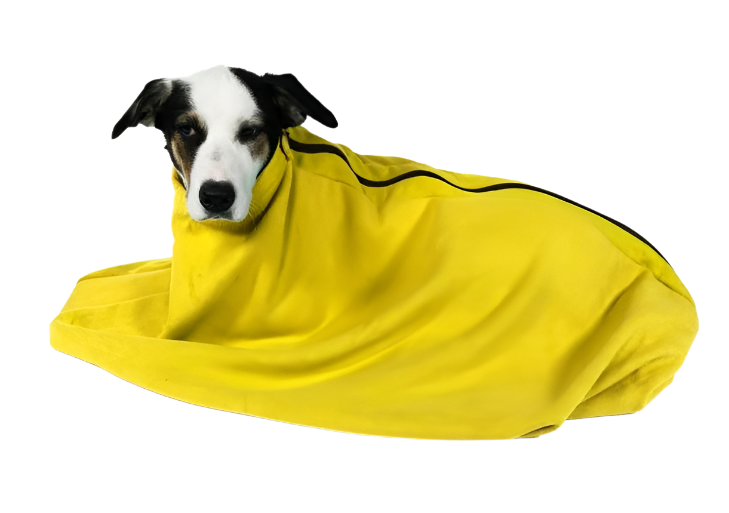 Dirty Dog Bag - Waterproof & Odor-Proof Pet Waste Bag Holder for Dogs - Perfect for Walking, Hiking, and Travel