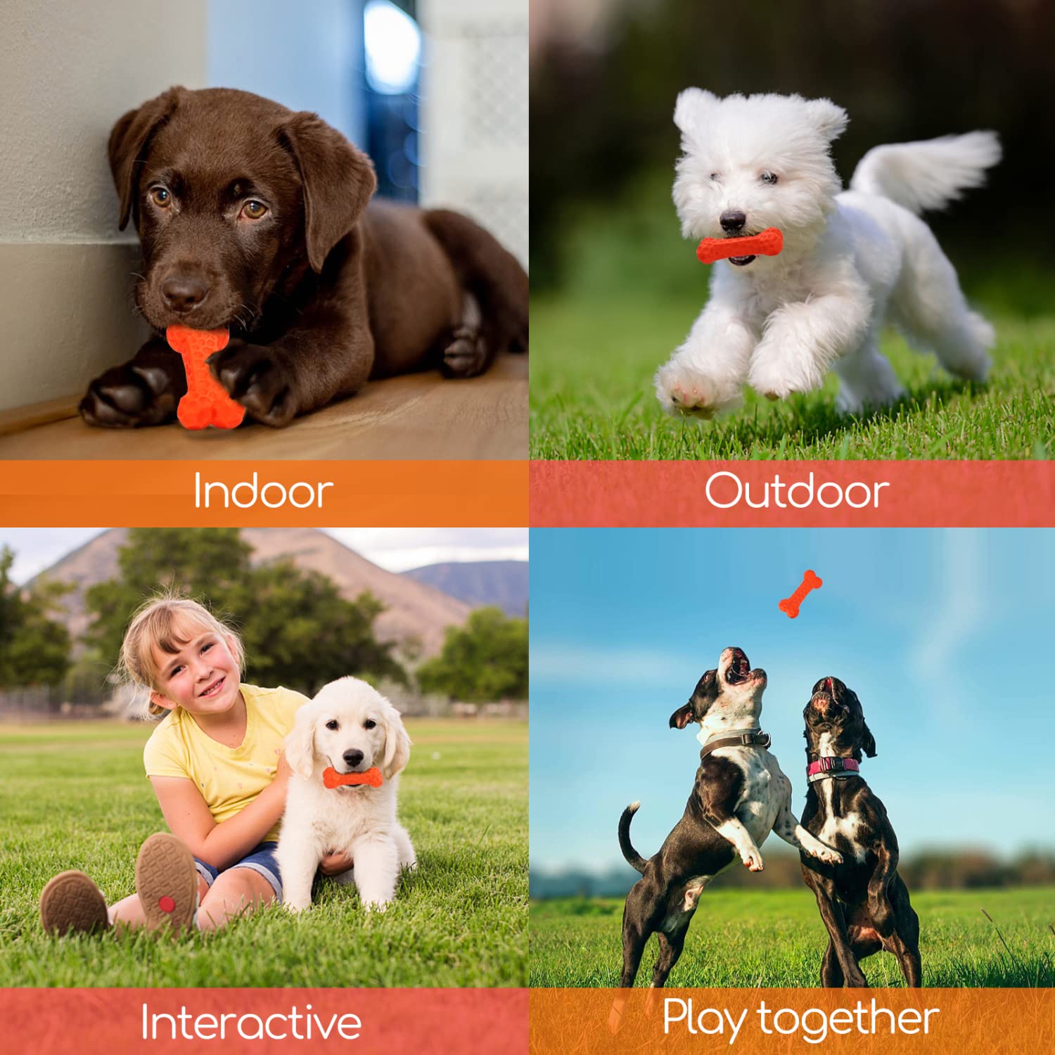 Durable Natural Rubber Dog Chew Toy for Puppies - Safe Teething Bone for Small Dogs & Puppies, 3.7 x 1.7 x 1 Inches, Orange - Perfect for Teething Relief, Dental Health & Playtime Indoors/Outdoors