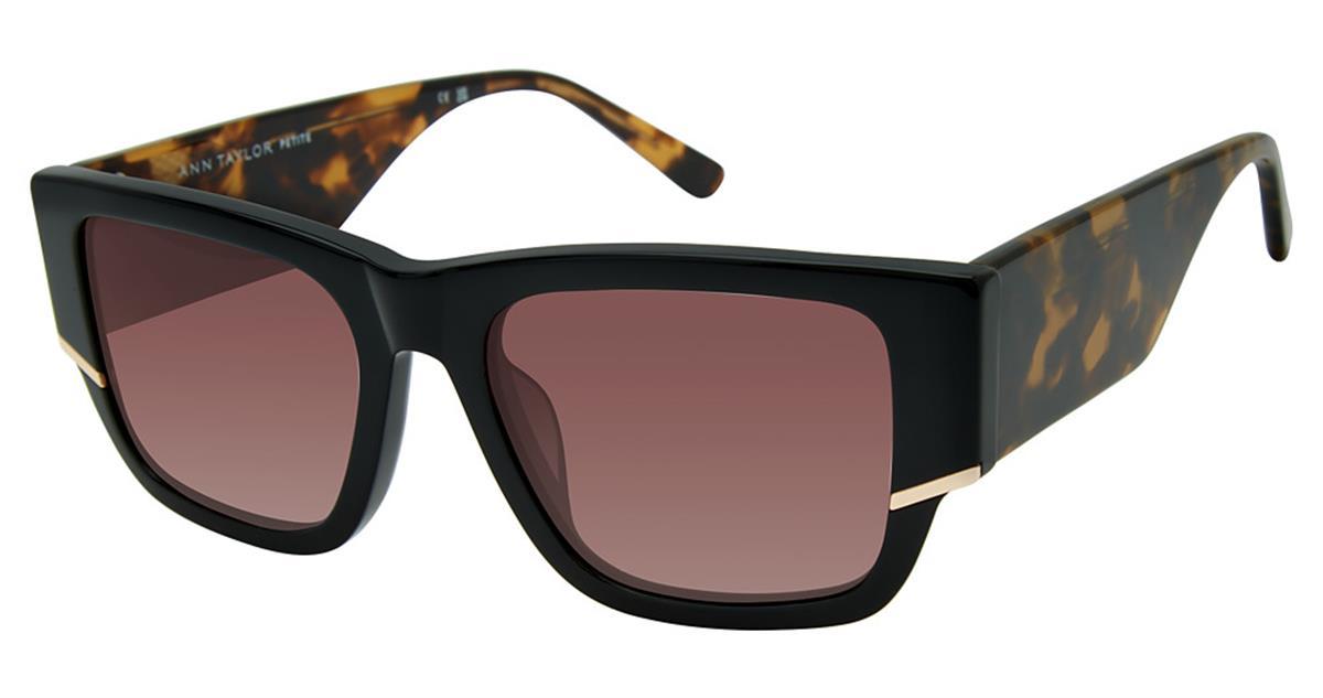 01 - Black Tortoise - Polarized