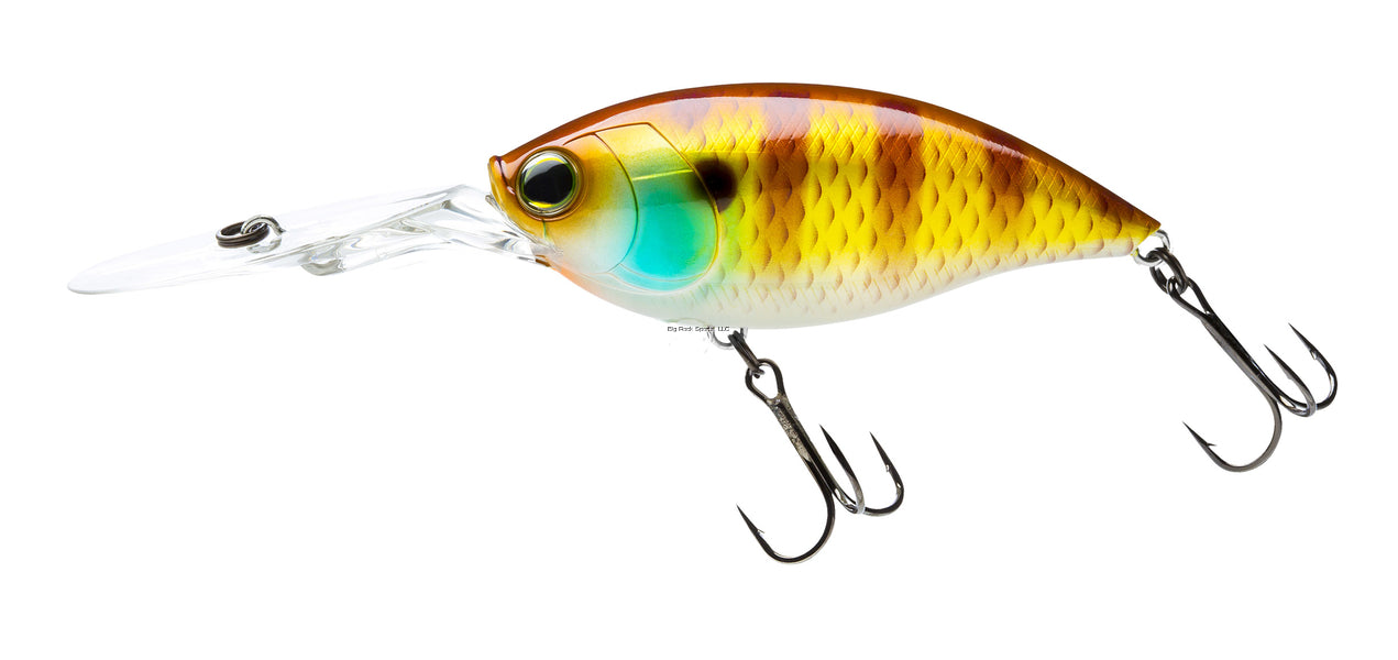 Natural Bluegill