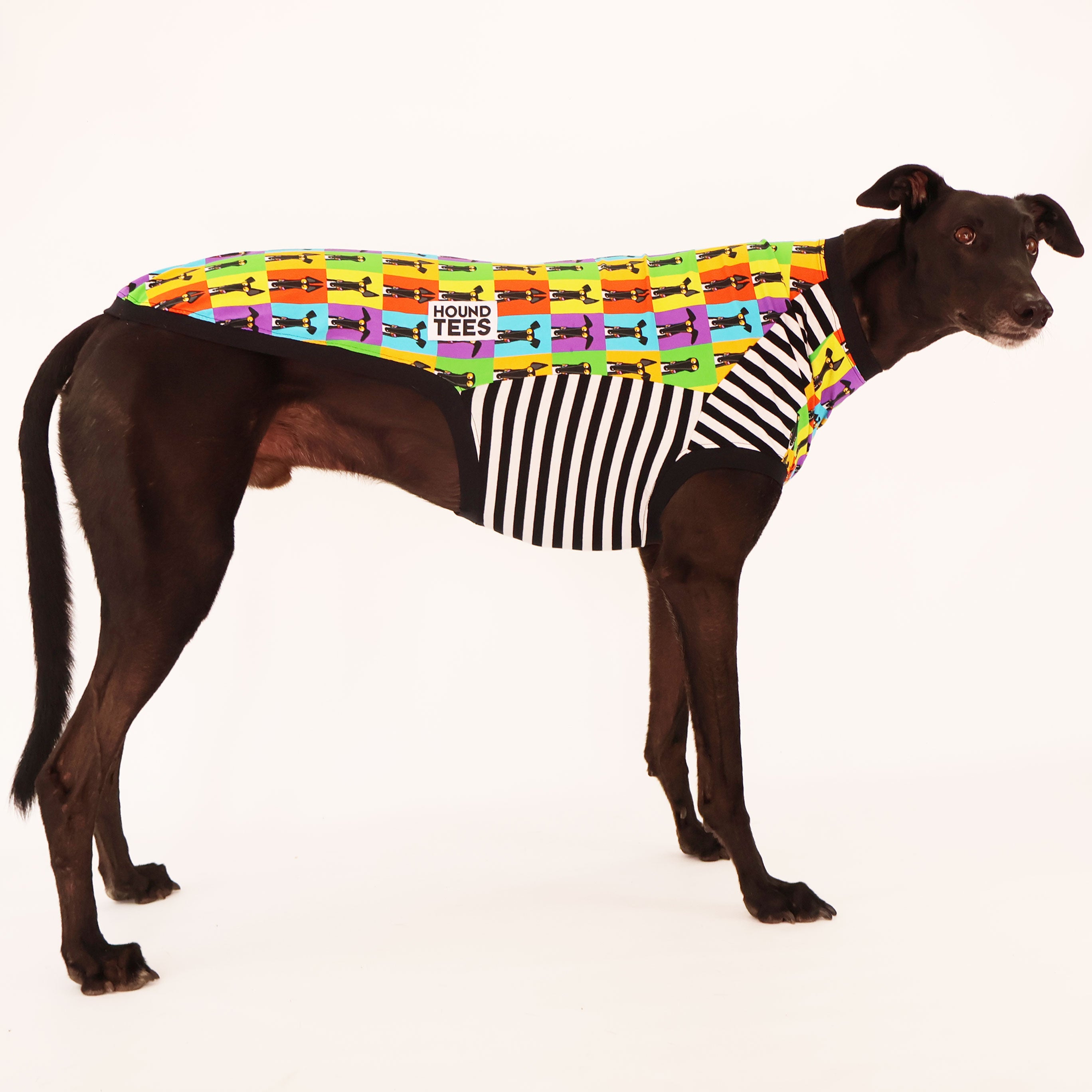 Semaphore Greyhound Sleeveless Hound Tee - Comfortable Dog Lover T-Shirt for Summer & Casual Wear - Perfect for Dog Walks, Park Outings and Pet Owner Gifts