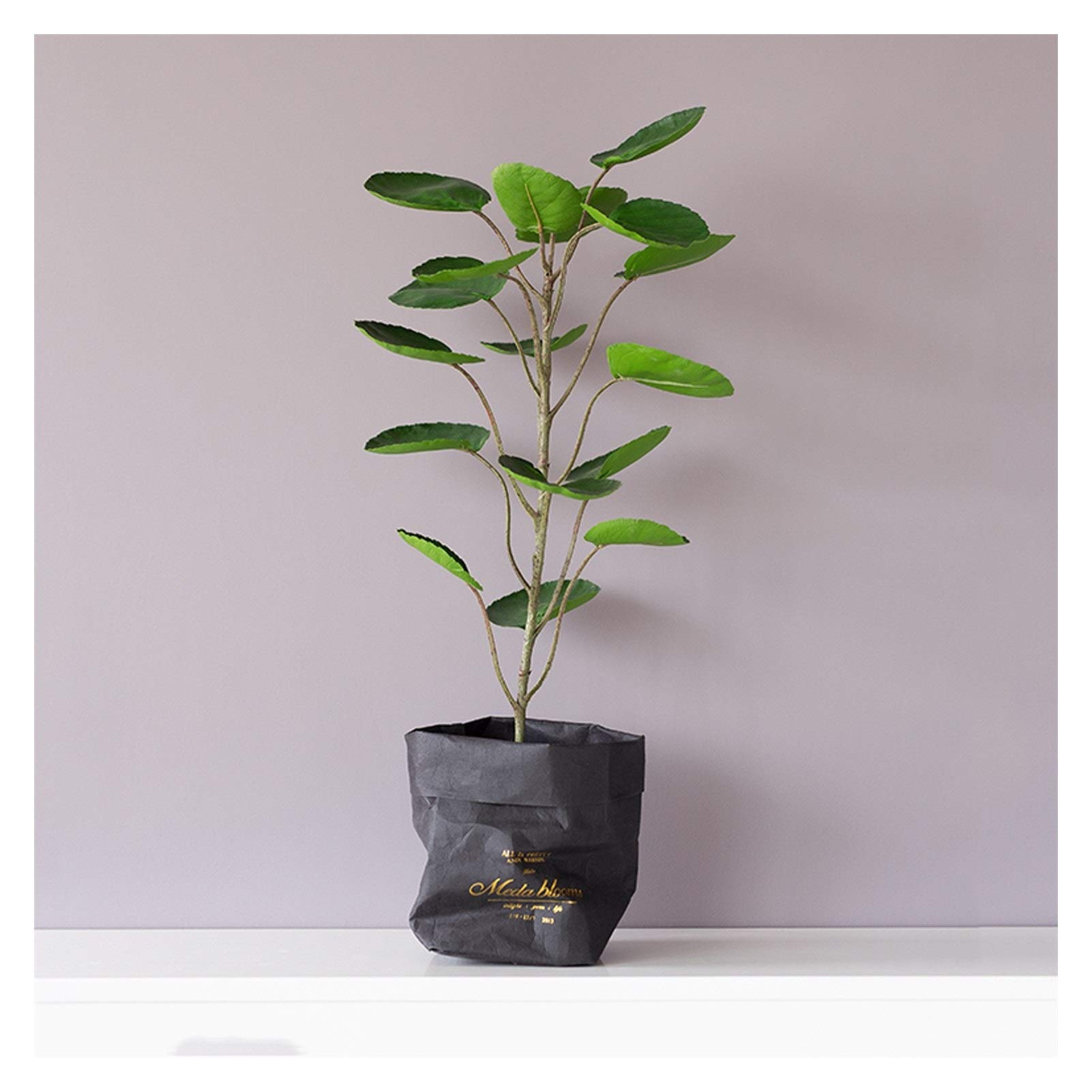 ZLASS 27.6 Inch Artificial Fiddle Leaf Fig Tree in Black Kraft Paper Pot - Realistic Fake Potted Plant for Home Office Decor, Living Room, Bedroom & Indoor Greenery