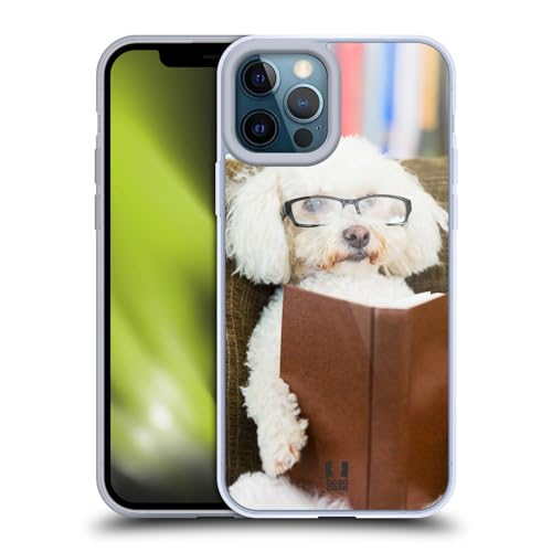 Reader Dog With Glasses