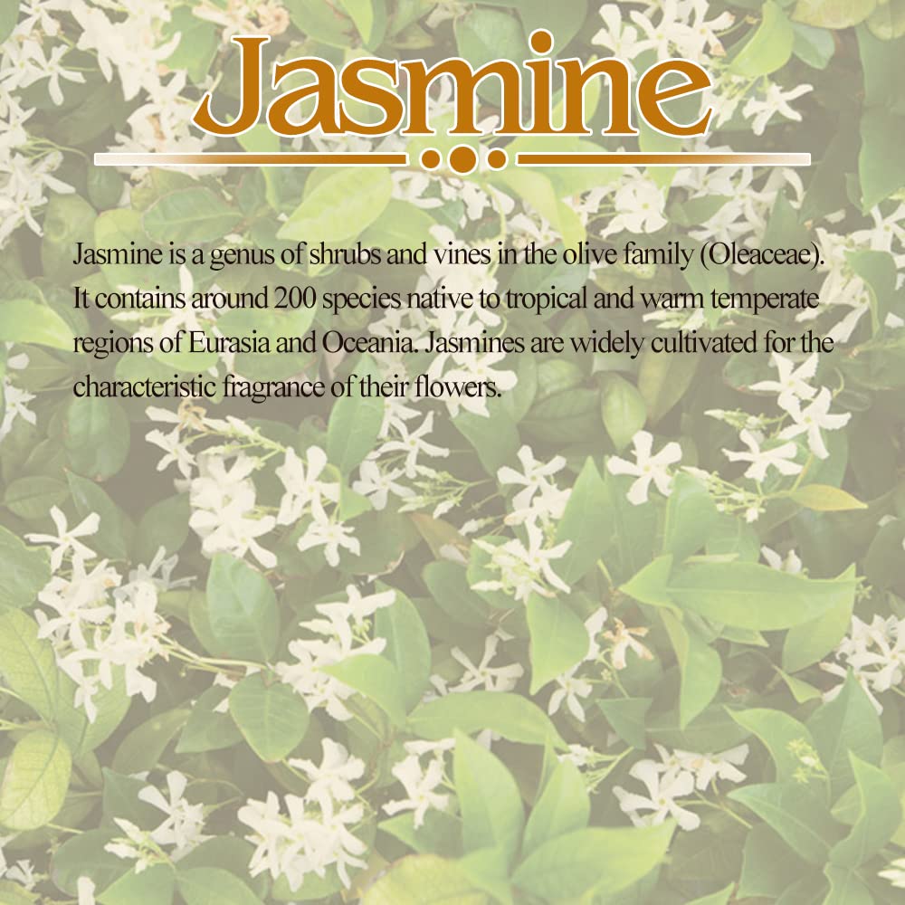SBS Jasmine Hair Oil (3 Pack) - 100% Pure & Natural Hair Treatment for All Hair Types - 100ml - Promotes Hair Growth, Reduces Frizz & Adds Shine - Perfect for Daily Hair Care & Scalp Massage