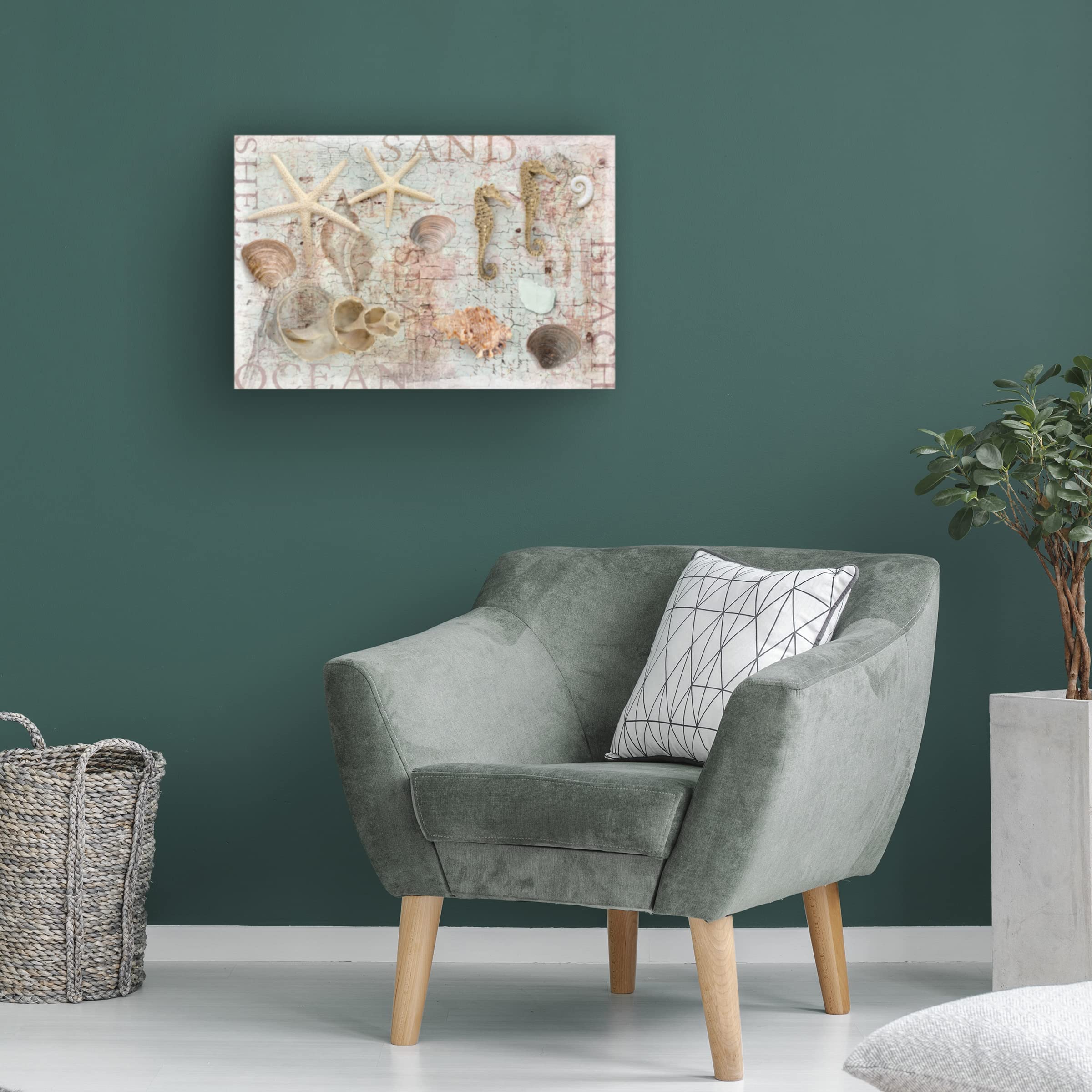 Trademark Fine Art 'Beach Finds' Canvas Wall Art by Cora Niele - Coastal Home Decor for Living Room, Bedroom & Office