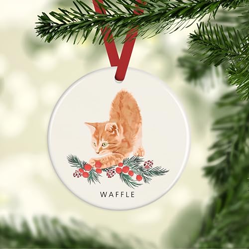 Orange Cat