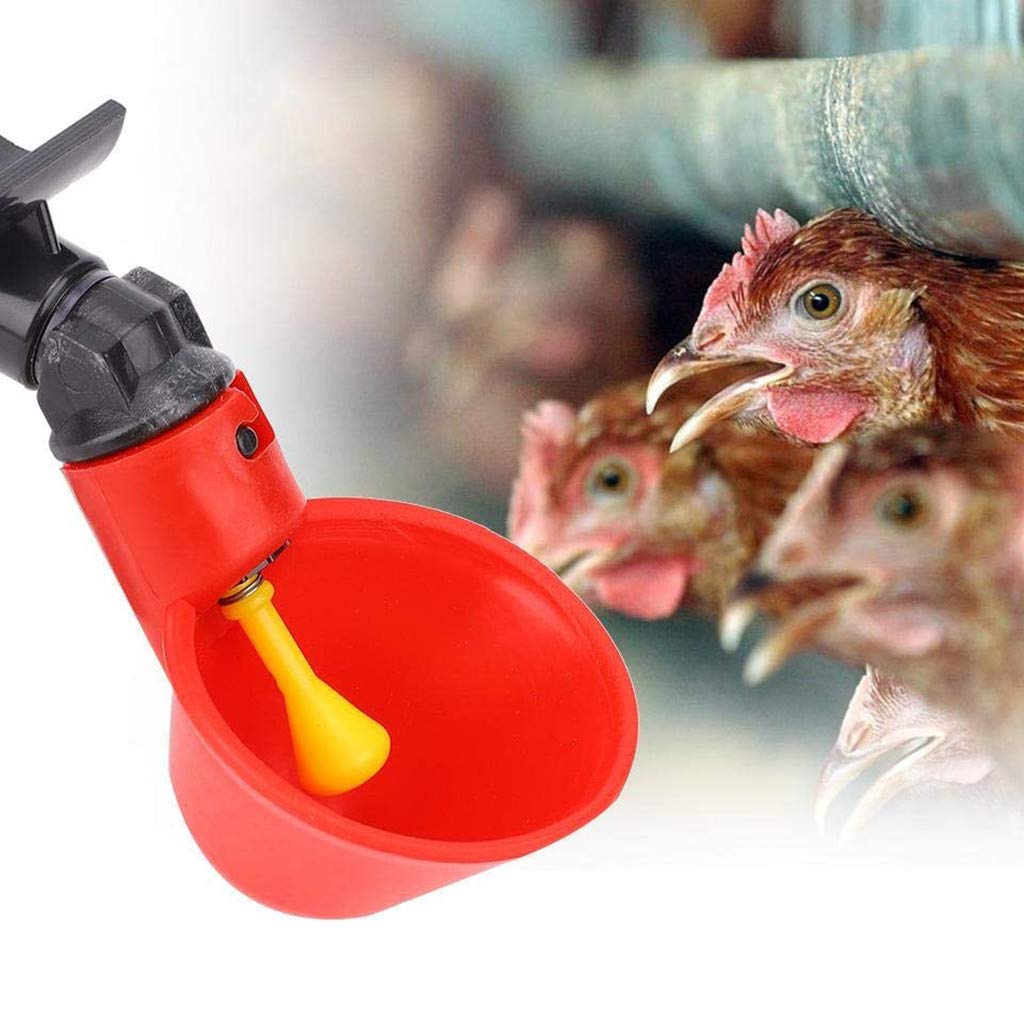 Automatic Poultry Water Drinking Cups - 5pcs Hanging Bird Drinker for Chicken Coop, Ducks & Fowl | Farm Tool for Fresh Water Supply | Perfect for Backyard Farms, Coops & Aviaries
