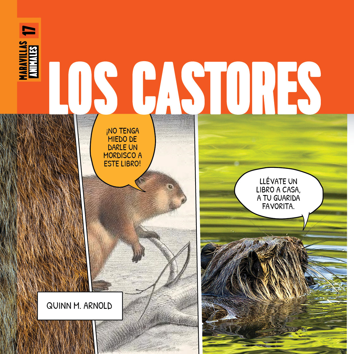 Los Castores Maravillas - Premium Handmade Wooden Beaver Figurines for Home Decor & Collectibles | Perfect for Gifts, Cabin Decor, and Nature Lovers