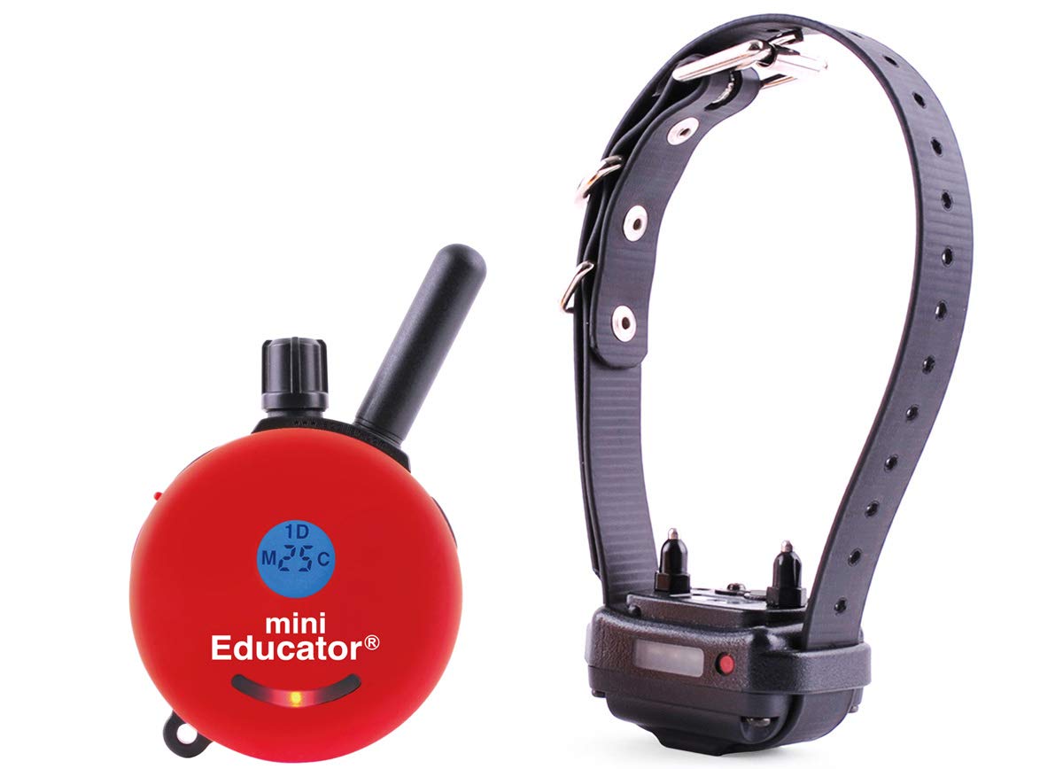 Mini Educator E-Collar ET-300/ET-302 Dog Training Collar System with Remote - 1/2 Mile Range, Waterproof, Vibration & Static Stimulation - Includes Free Pet Towel (1 Dog System - ET-300 Red) - Perfect for Obedience Training, Behavior Correction & Outdoor Adventures